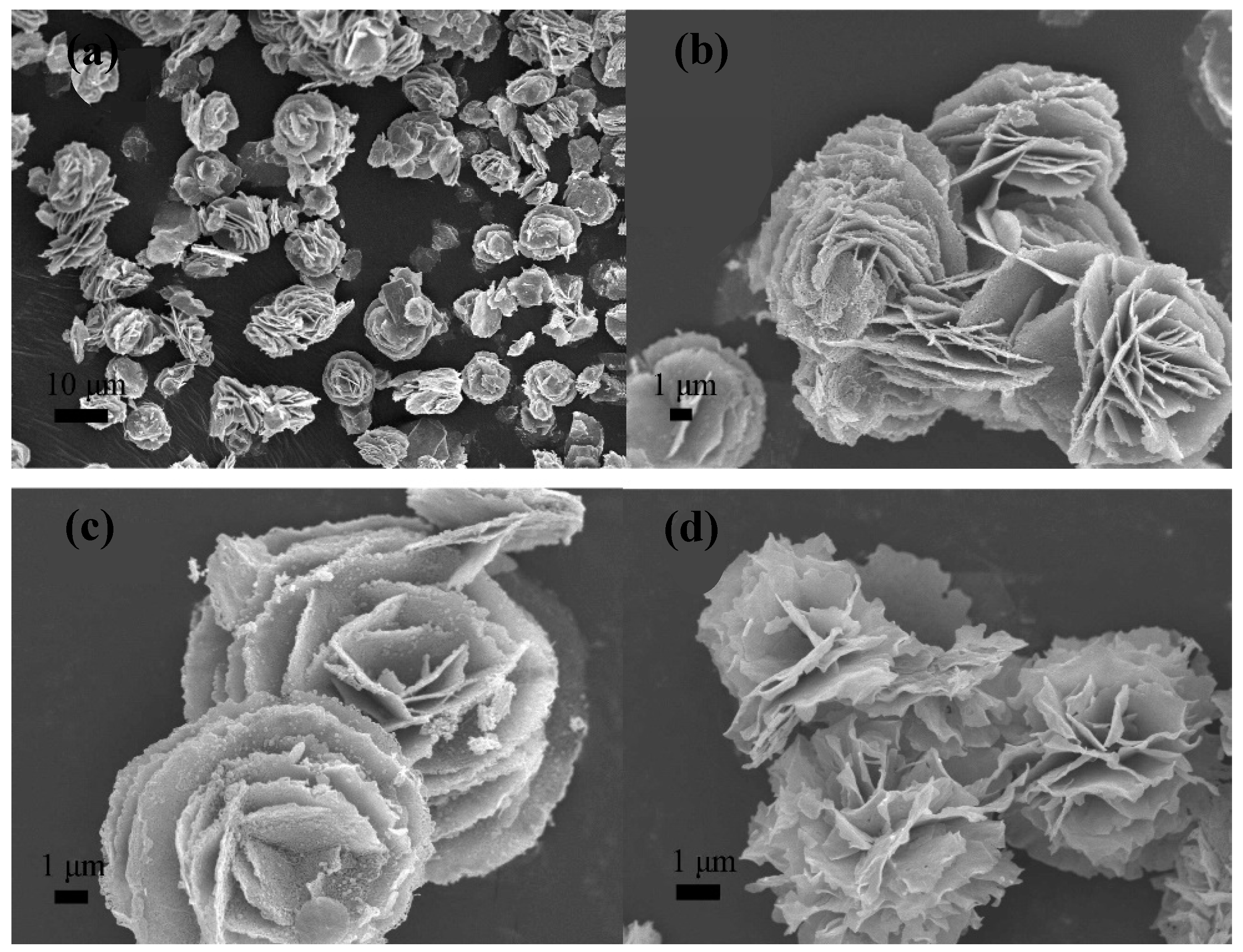 Molecules 24 01224 g006