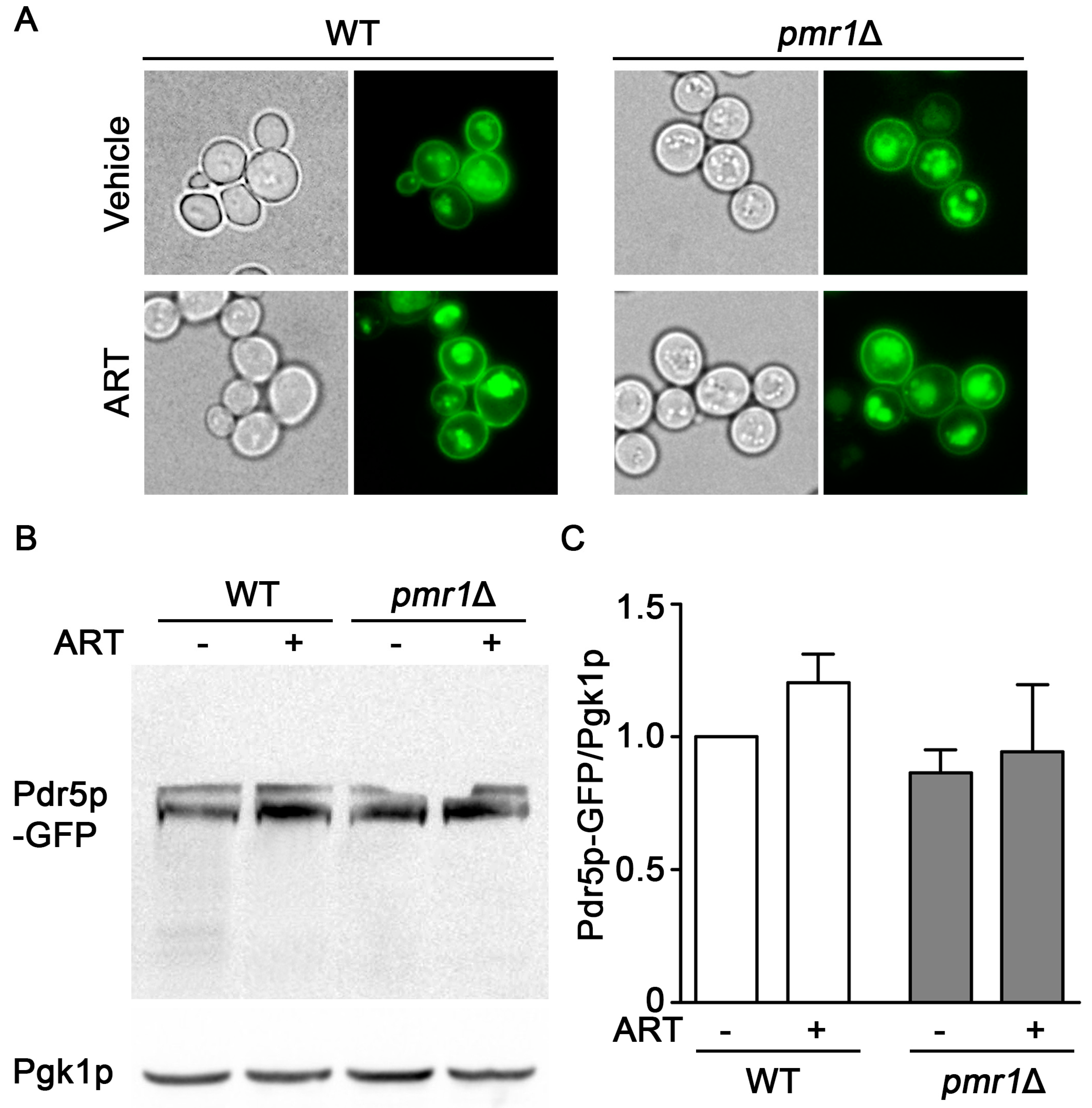 Molecules 24 01233 g004