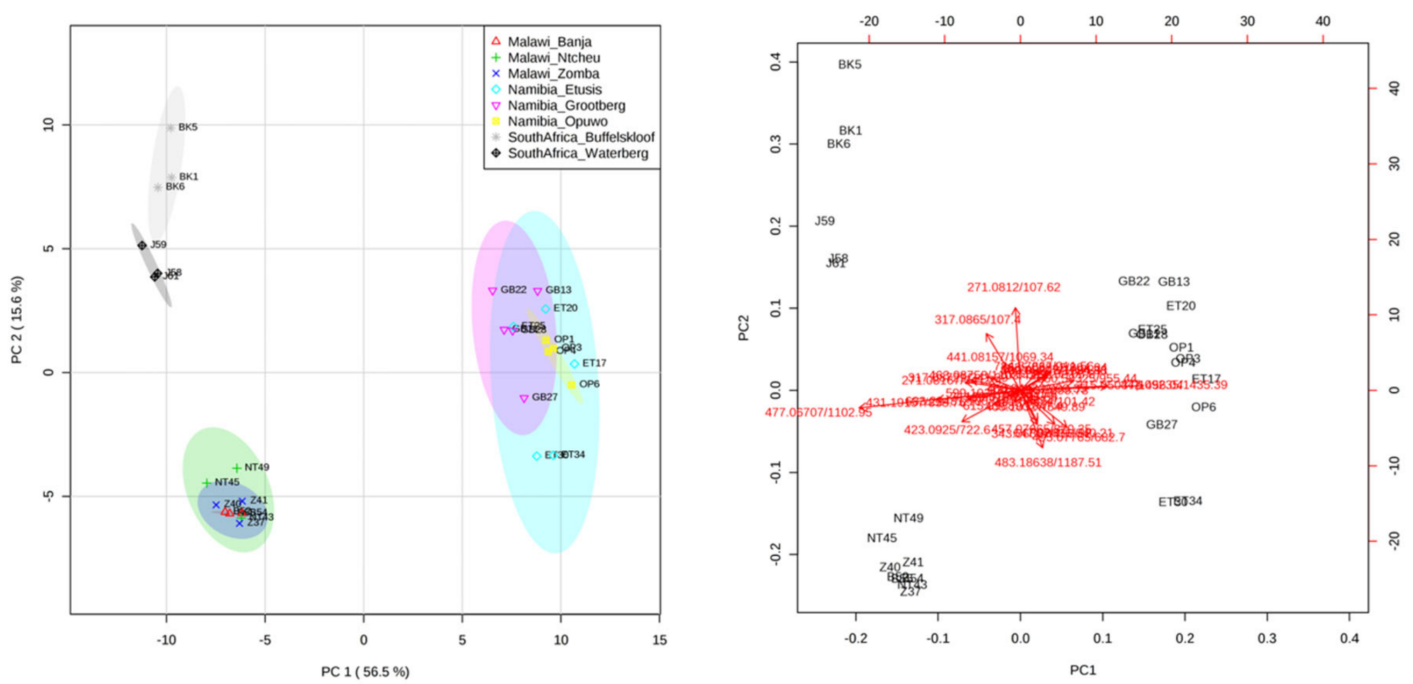 Molecules 24 01240 g004