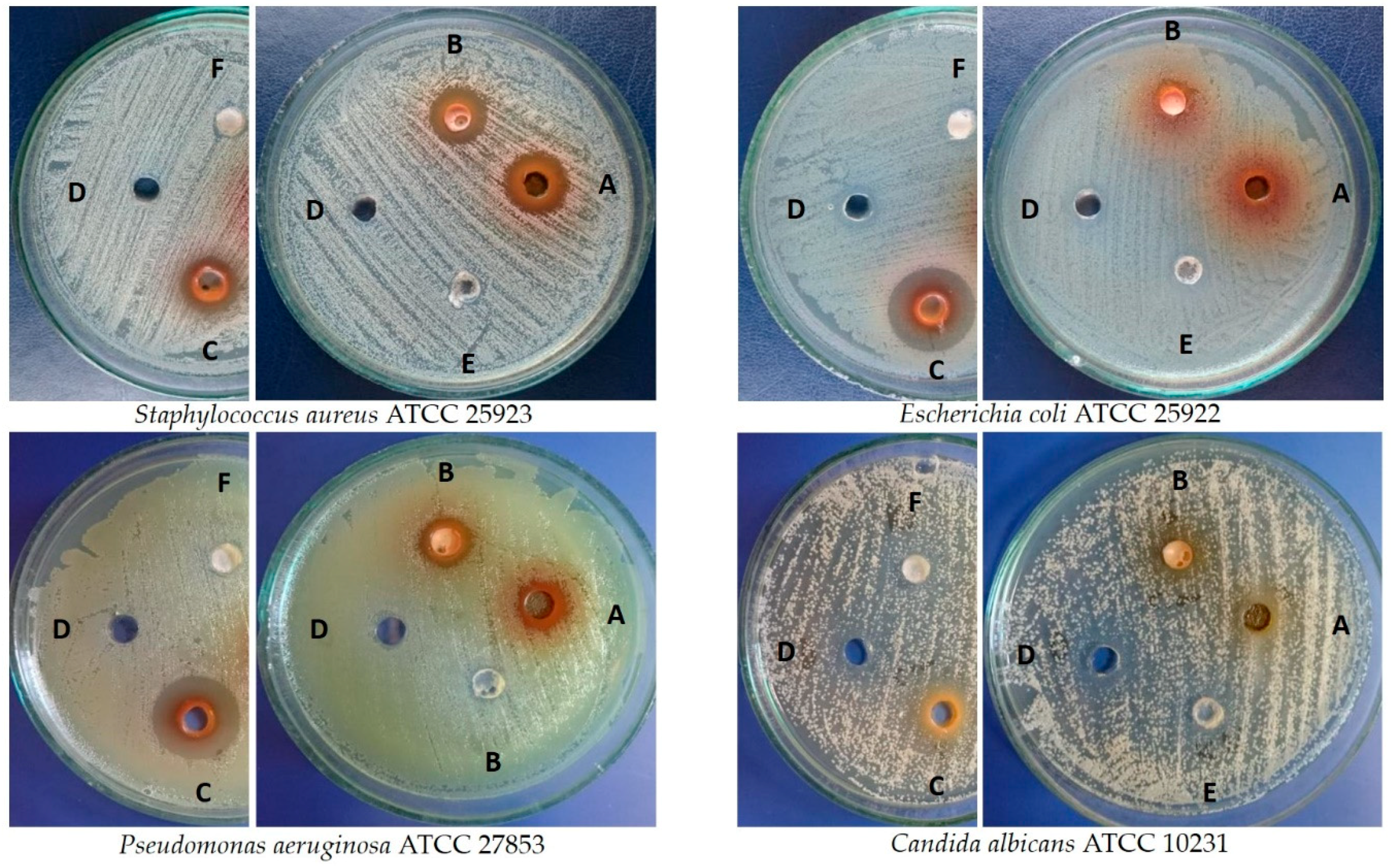 Molecules 24 01314 g004