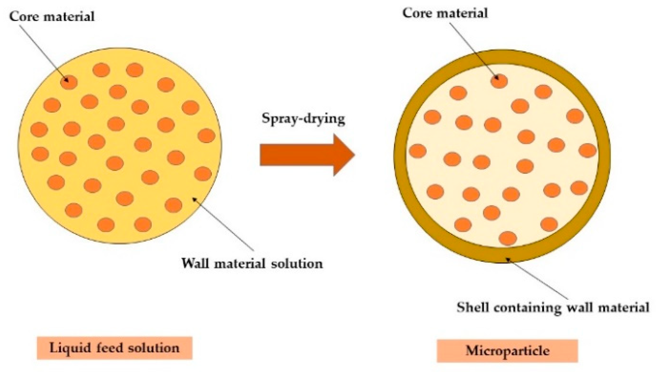 Molecules | Free Full-Text | Microencapsulation of Elsholtzia ciliata Herb  Ethanolic Extract by Spray-Drying: Impact of Resistant-Maltodextrin  Complemented with Sodium Caseinate, Skim Milk, and Beta-Cyclodextrin on the  Quality of Spray-Dried Powders