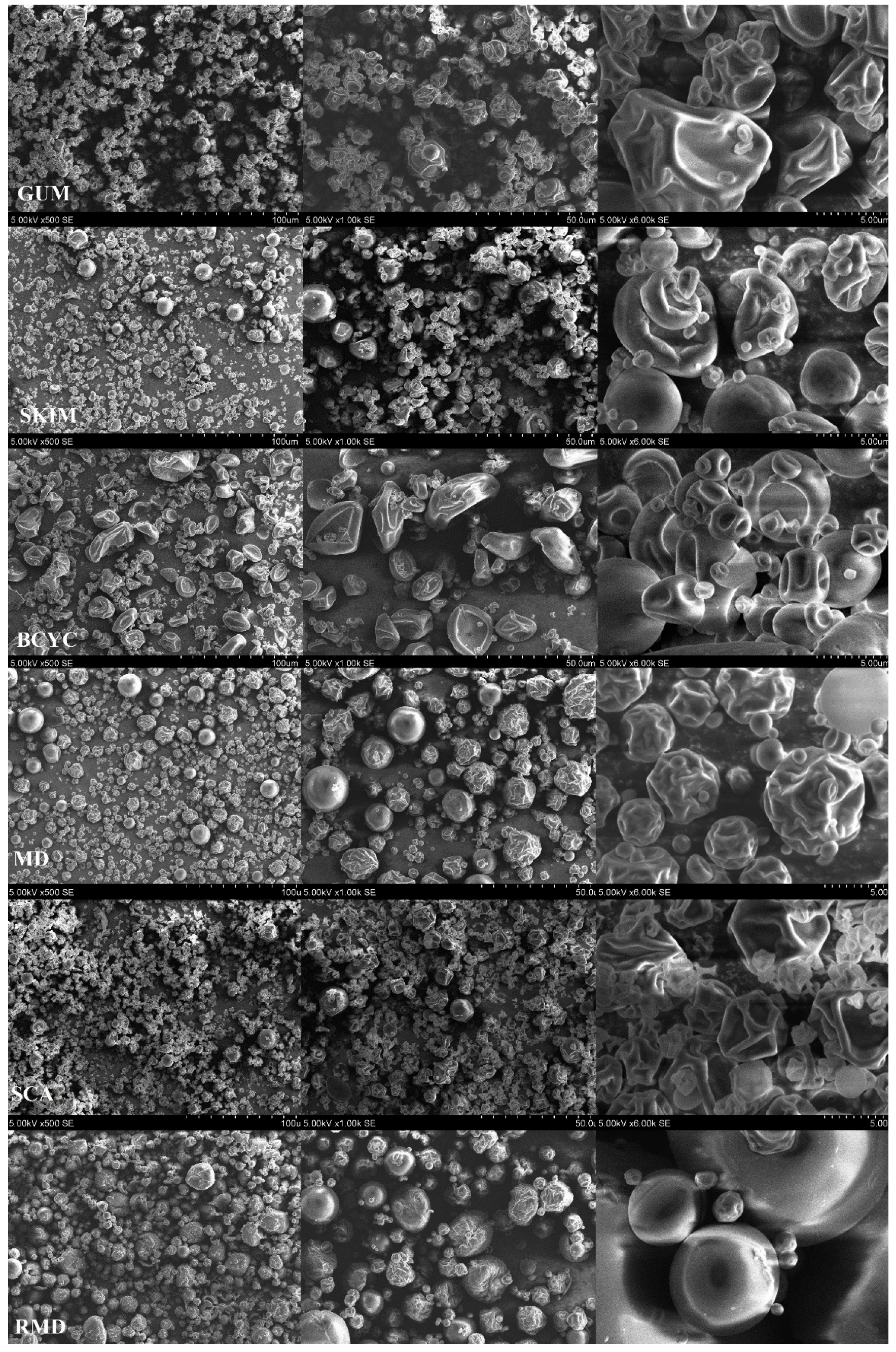 Molecules 24 01461 g011 Molecules 24 01461 g011