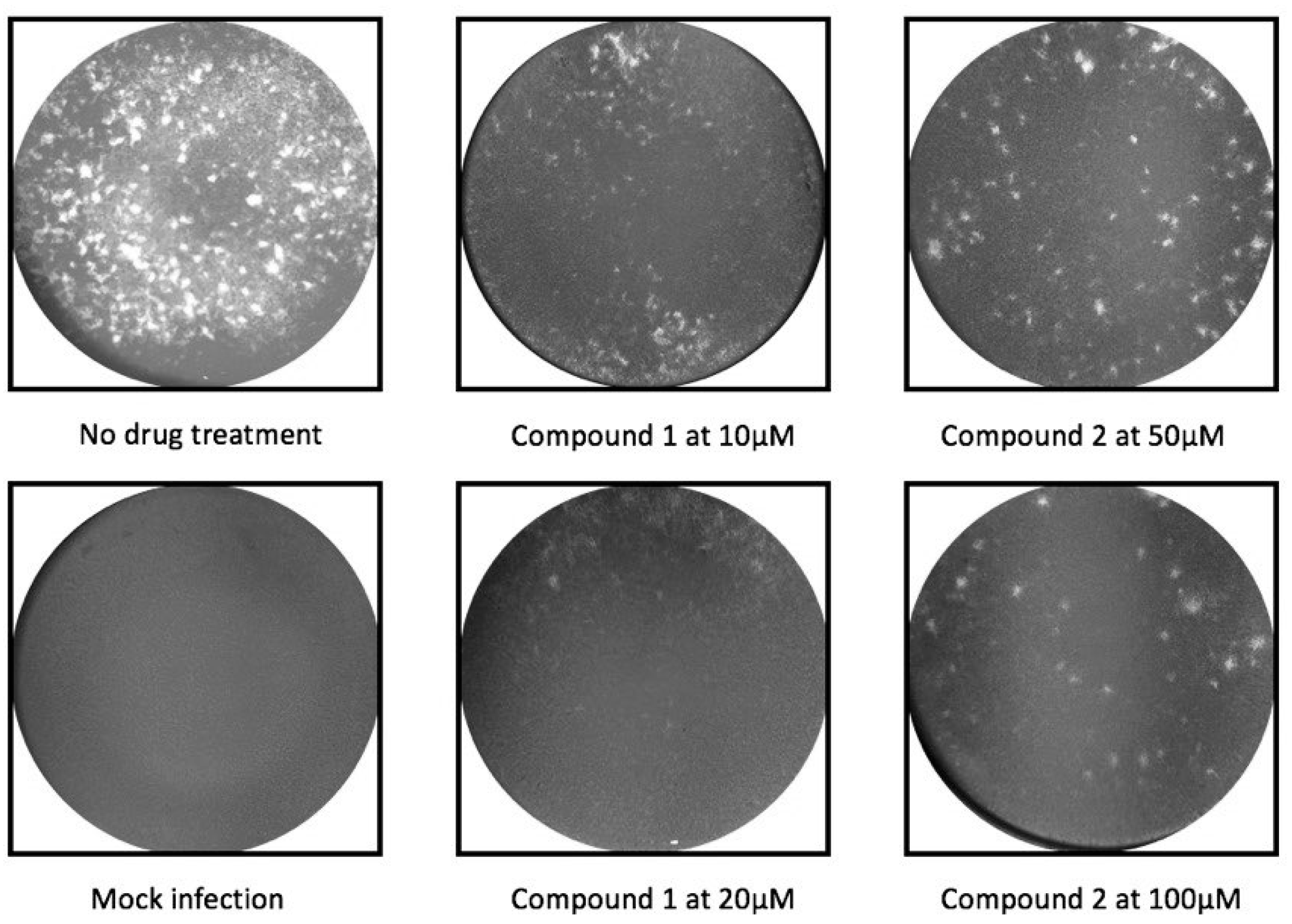 Molecules 24 01465 g002 Molecules 24 01465 g002