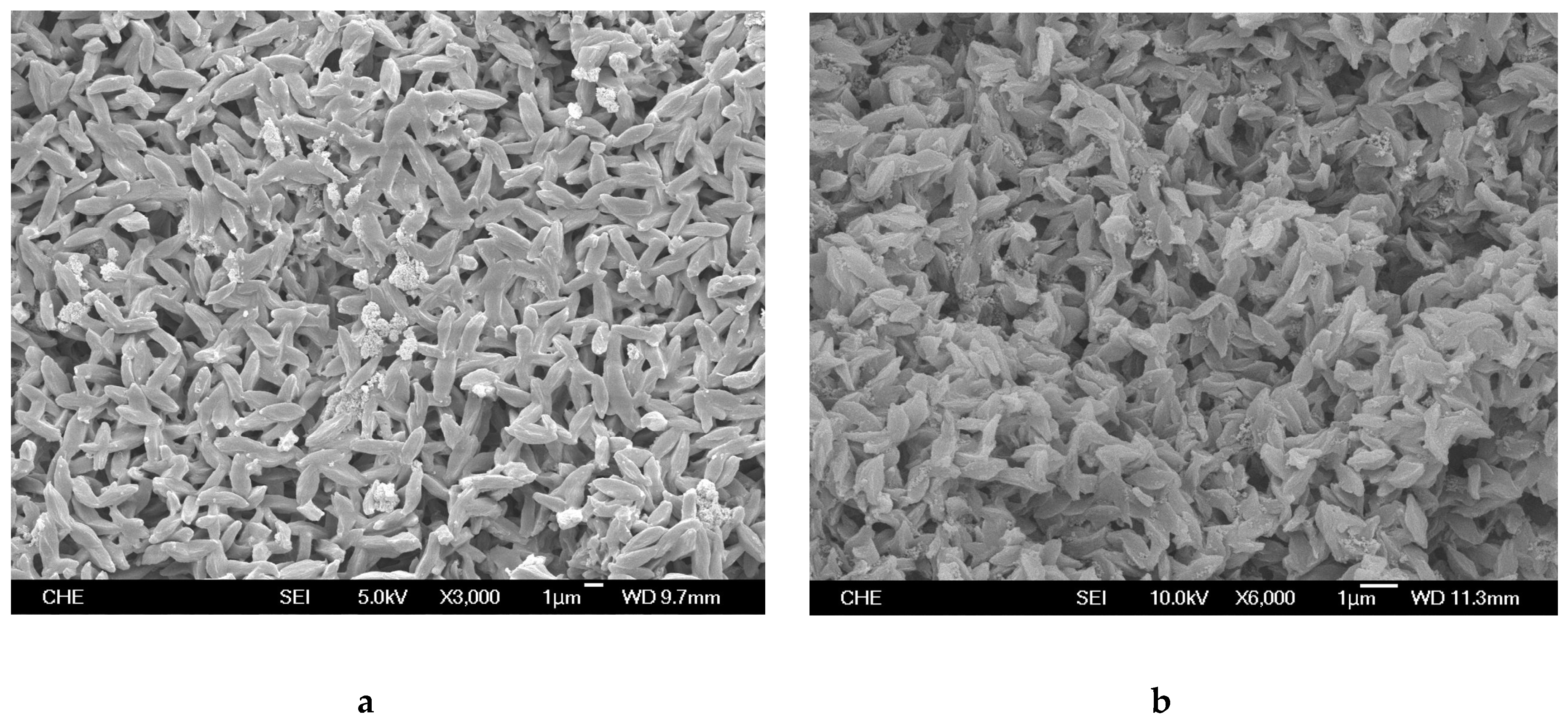 Molecules 24 01467 g012
