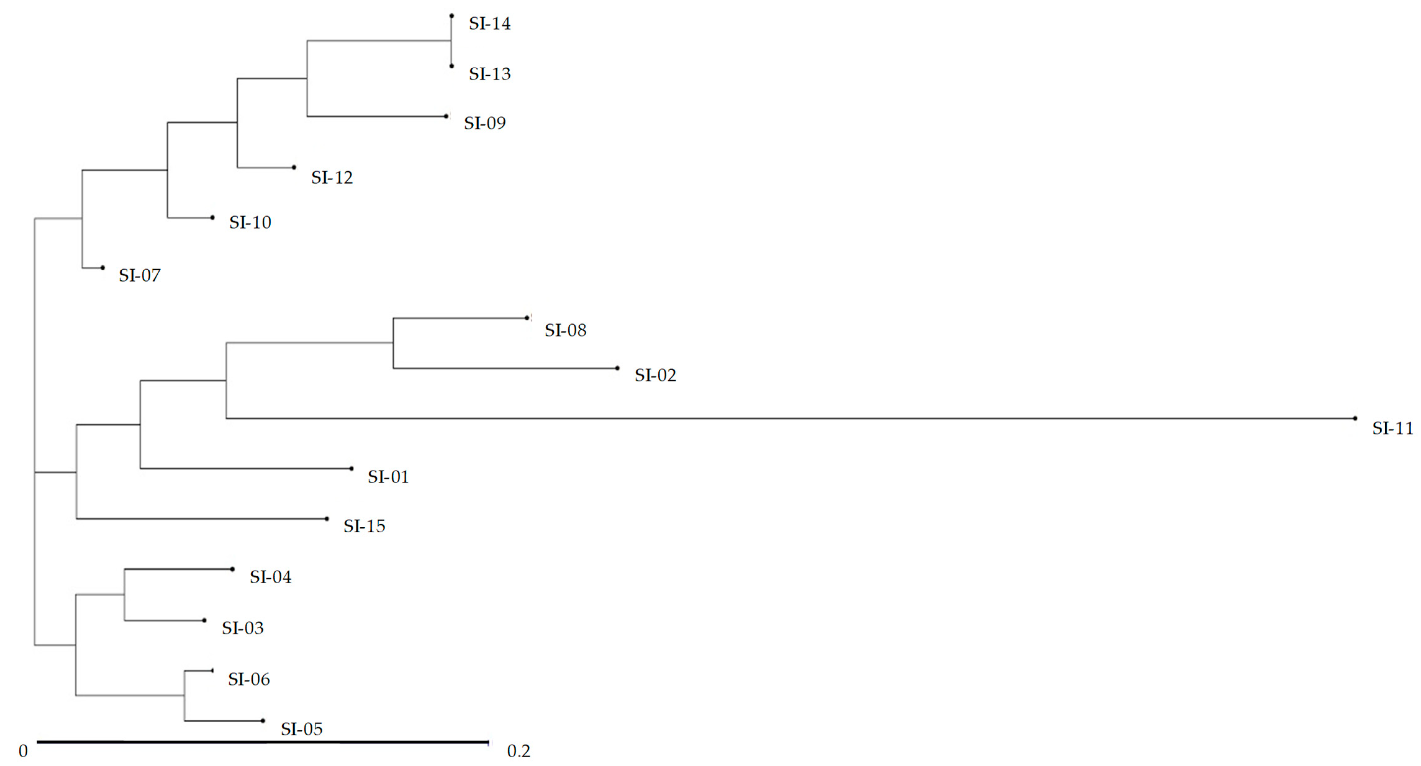 Molecules 24 01486 g004
