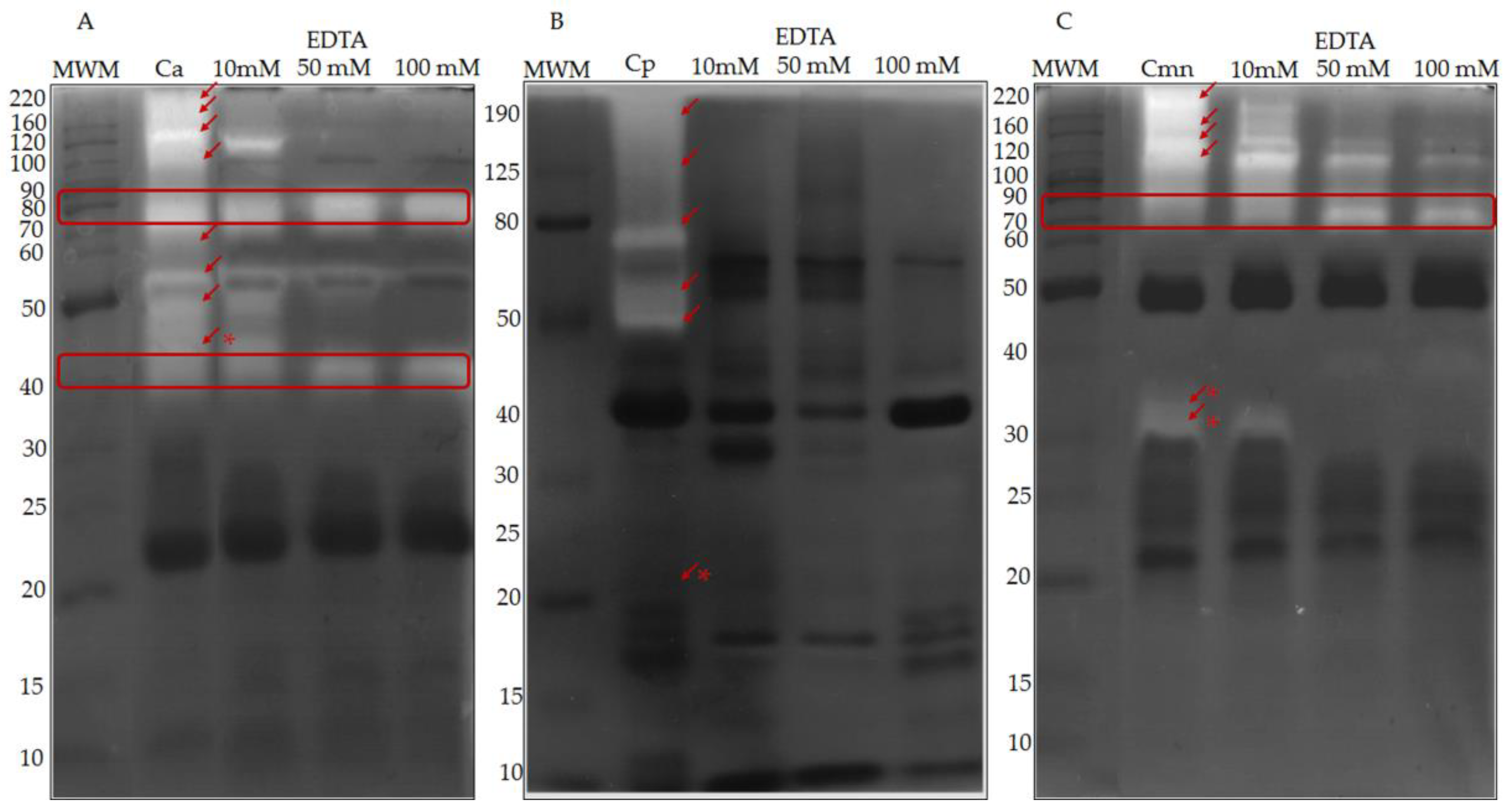 Molecules 24 01489 g005 Molecules 24 01489 g005