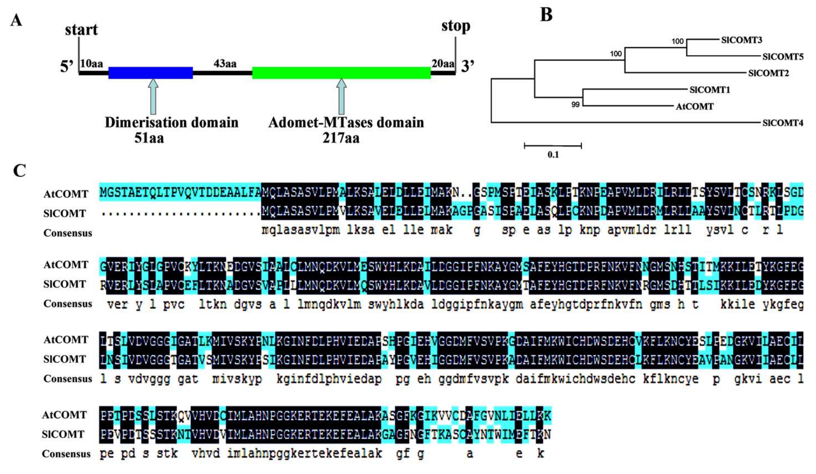 Molecules 24 01514 g001