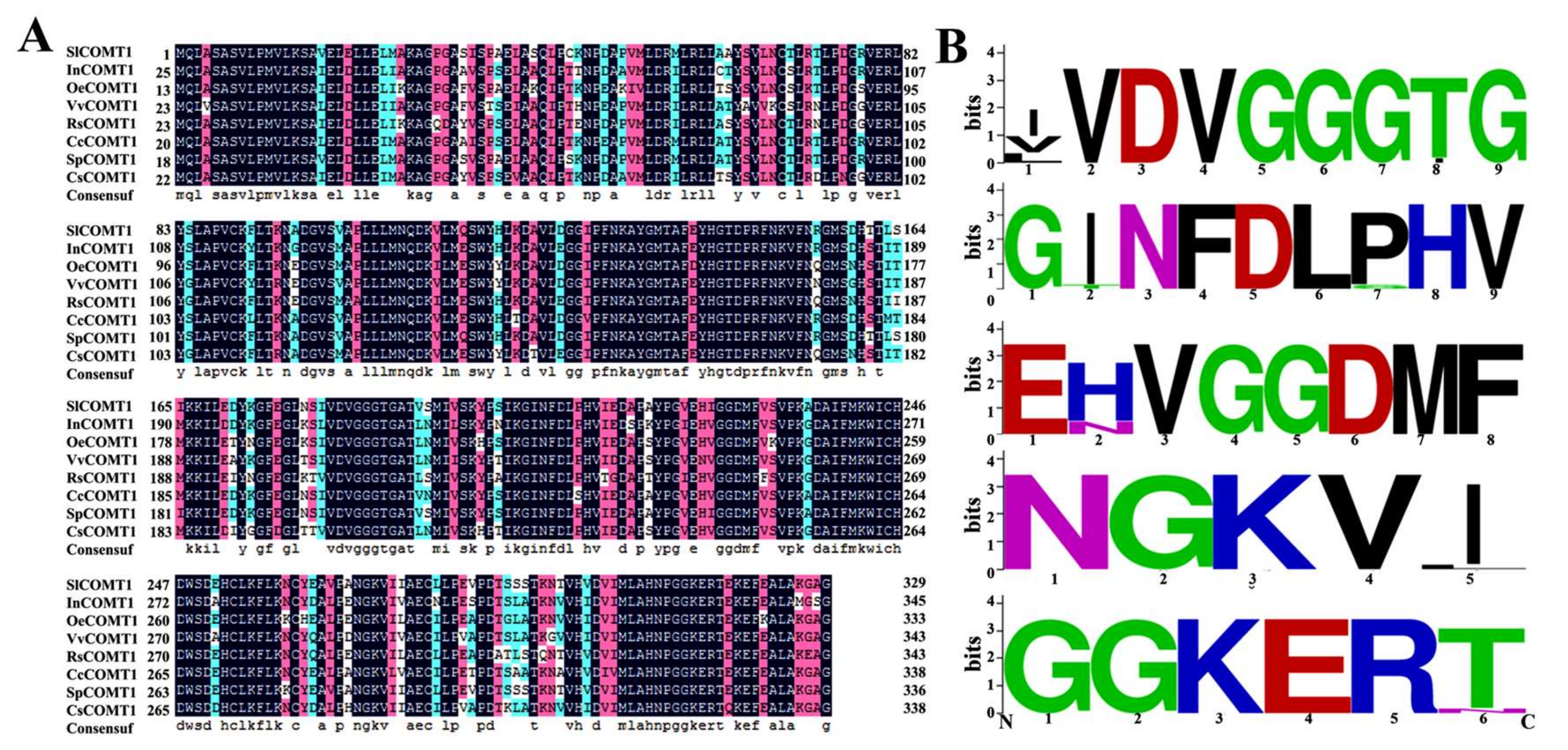 Molecules 24 01514 g003