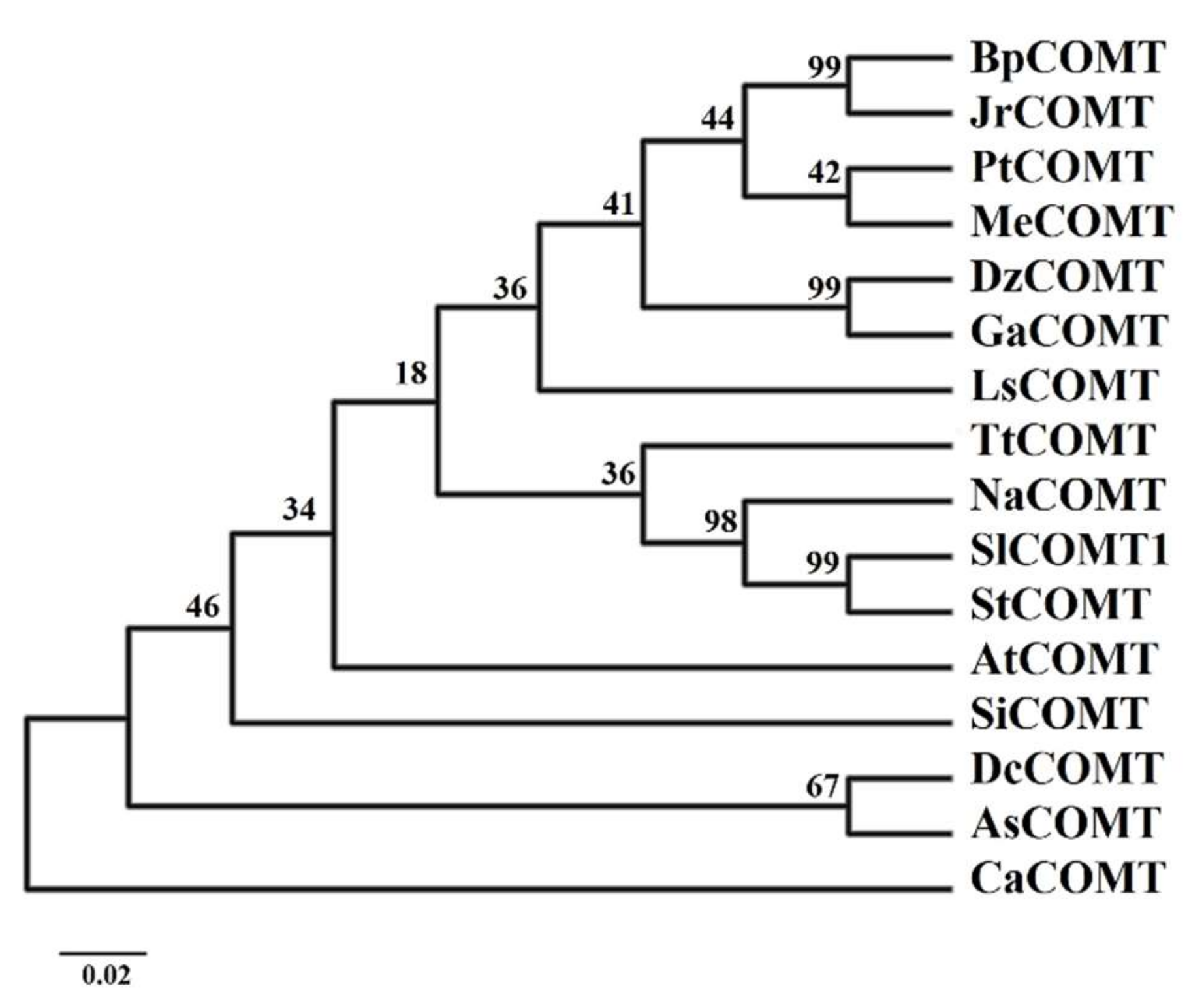 Molecules 24 01514 g004