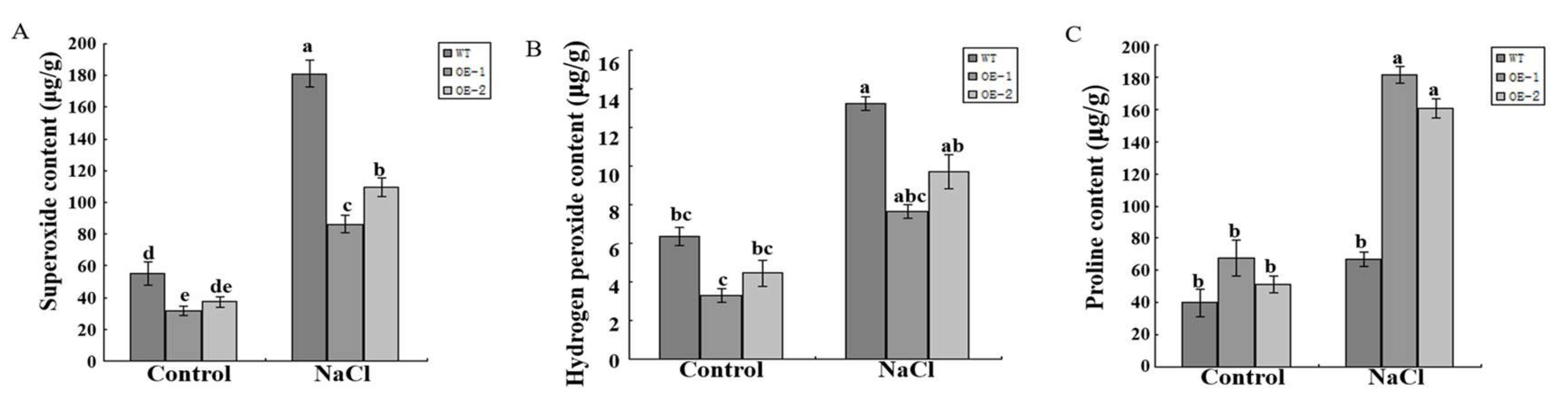Molecules 24 01514 g009