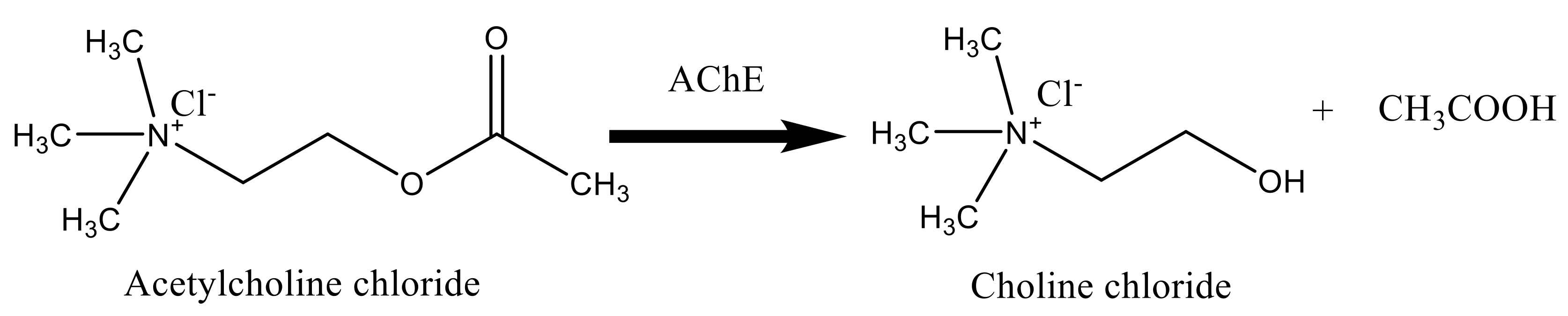 Molecules | Free Full-Text | Novel Carbon/PEDOT/PSS-Based Screen ...