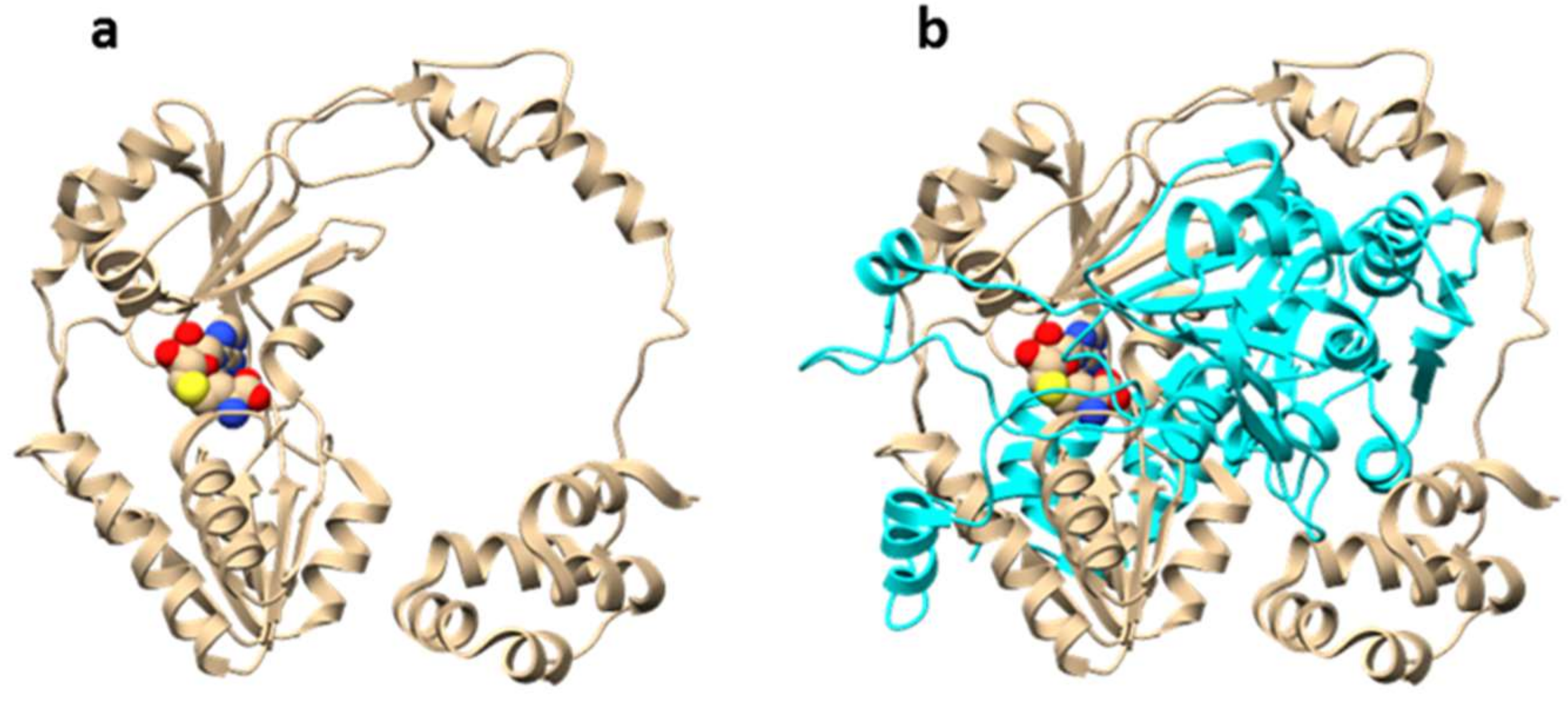 Molecules 24 01541 g006