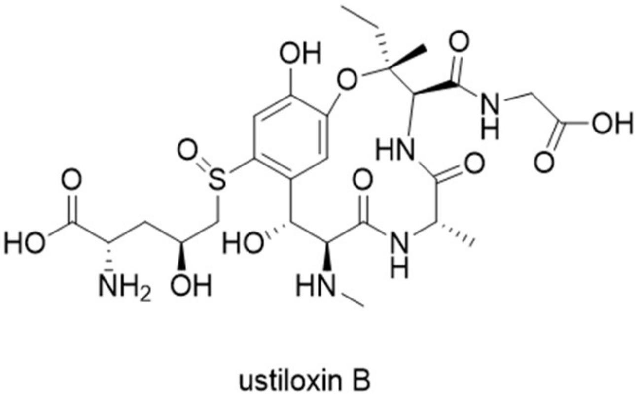 Molecules 24 01541 g007