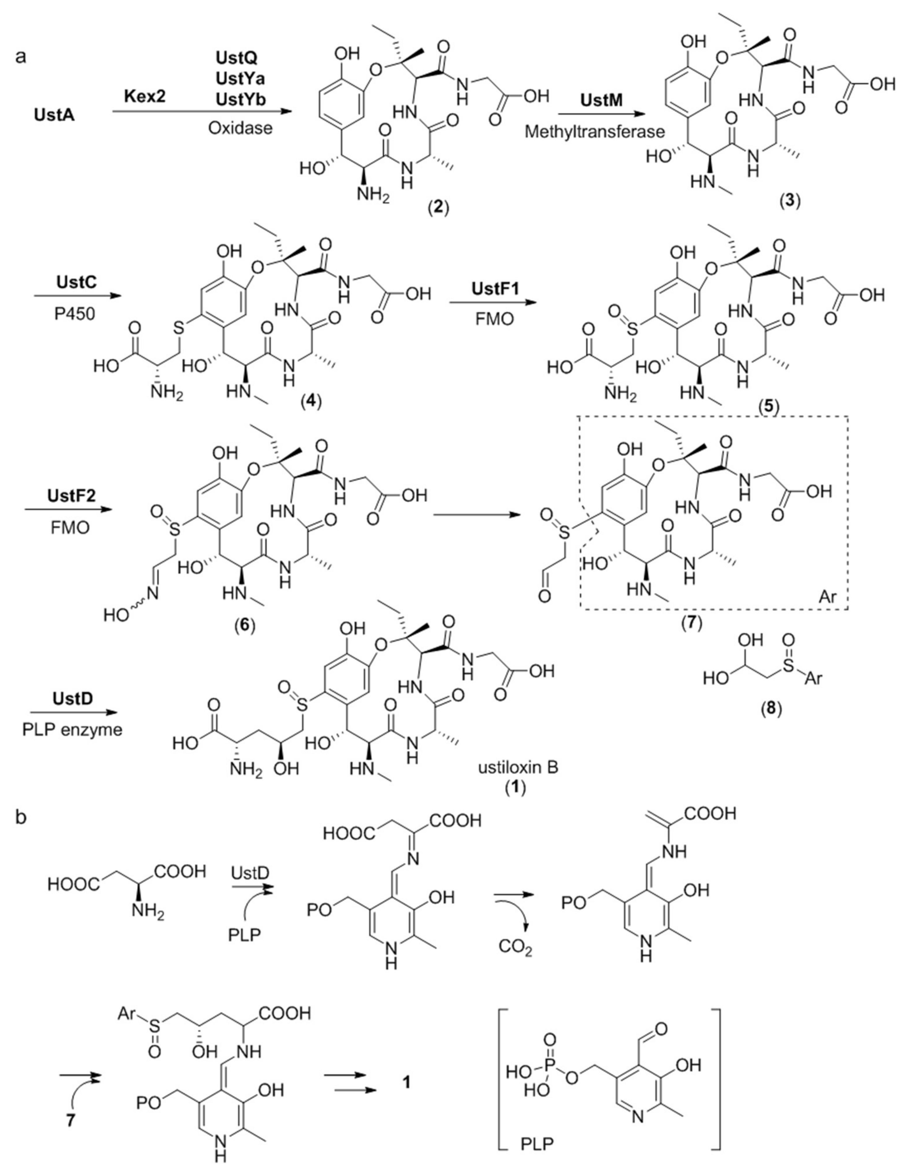 Molecules 24 01541 g009
