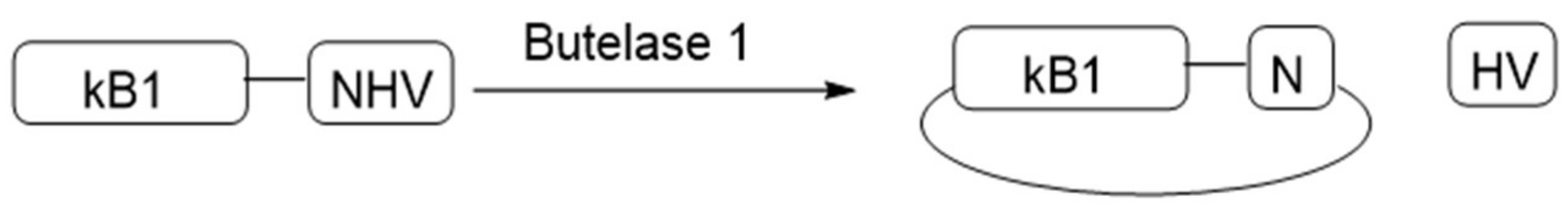 Molecules 24 01541 g012
