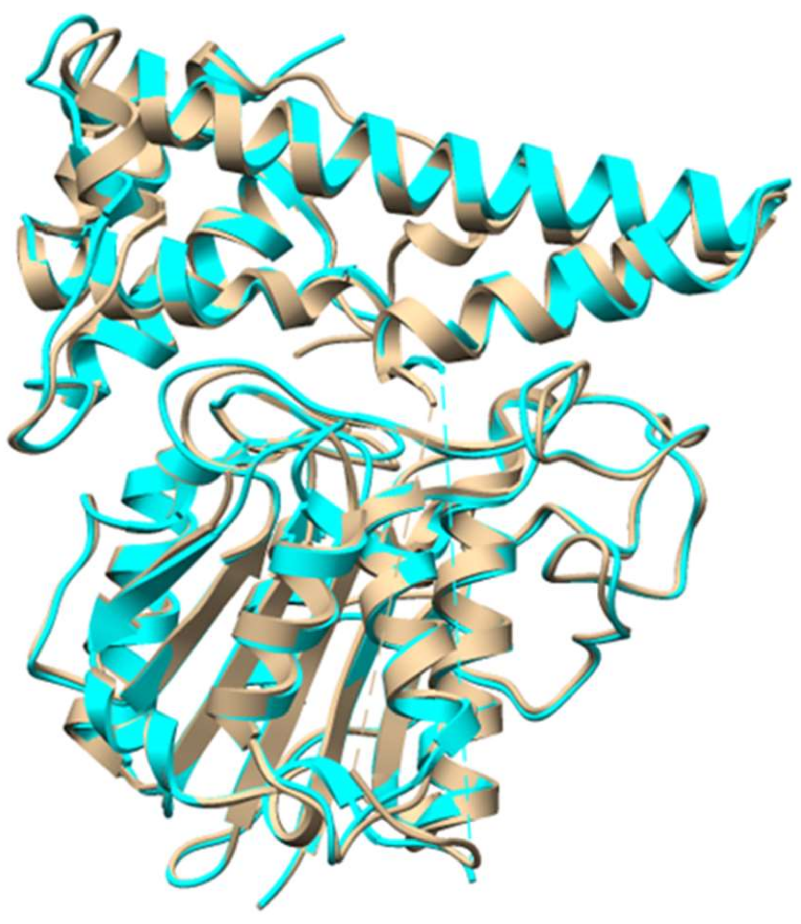 Molecules 24 01541 g013