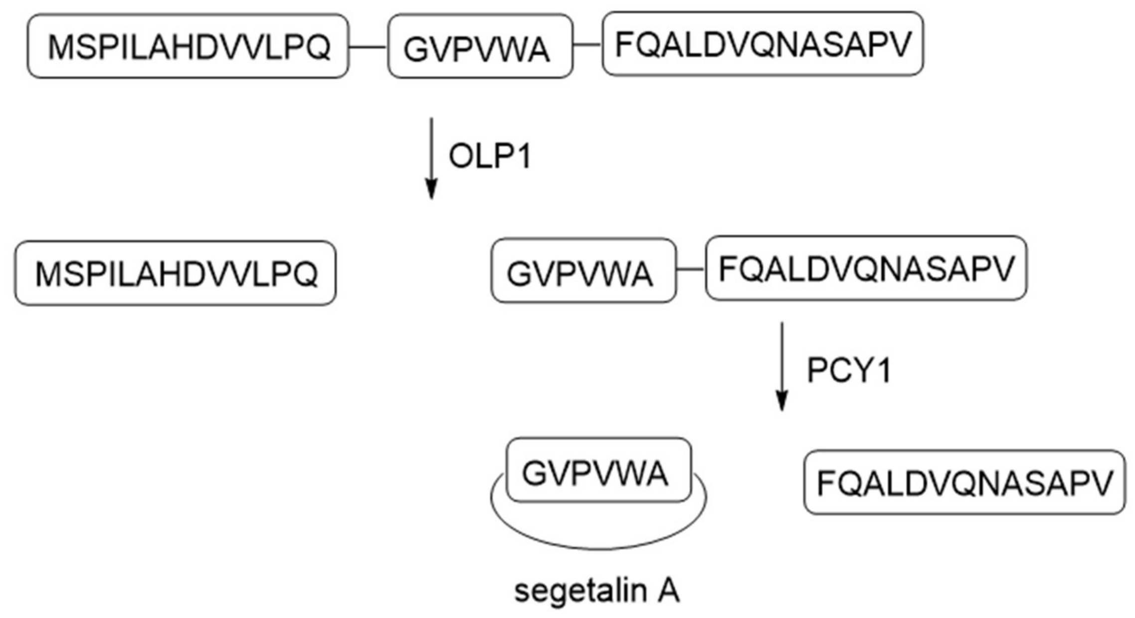 Molecules 24 01541 g014