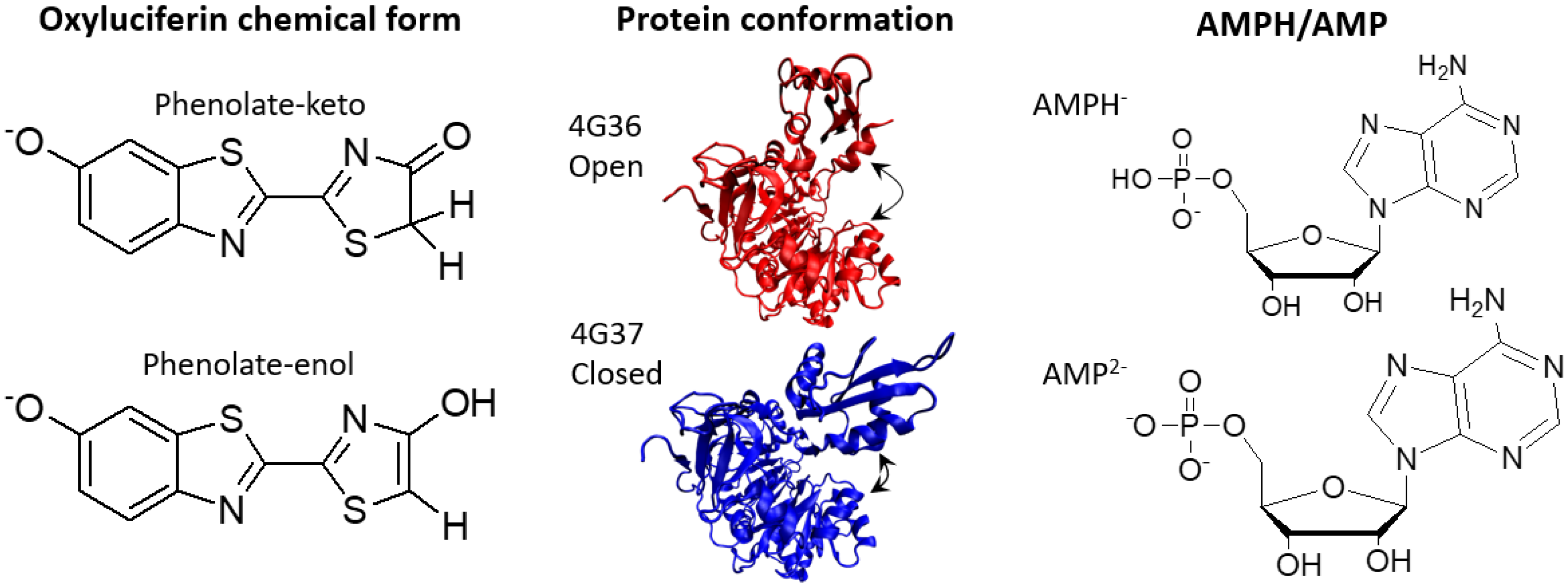 Molecules 24 01565 g001