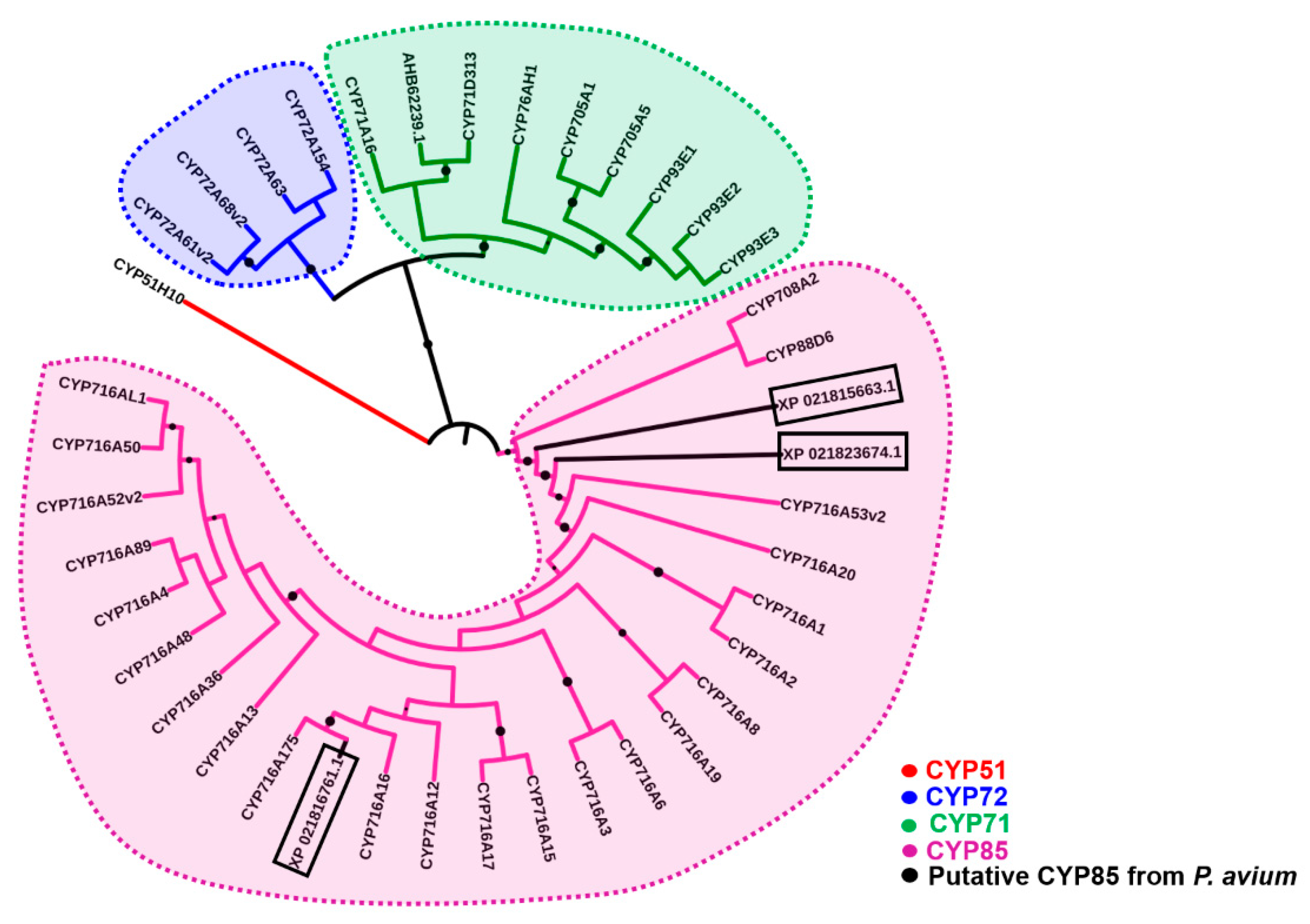 Molecules 24 01590 g002