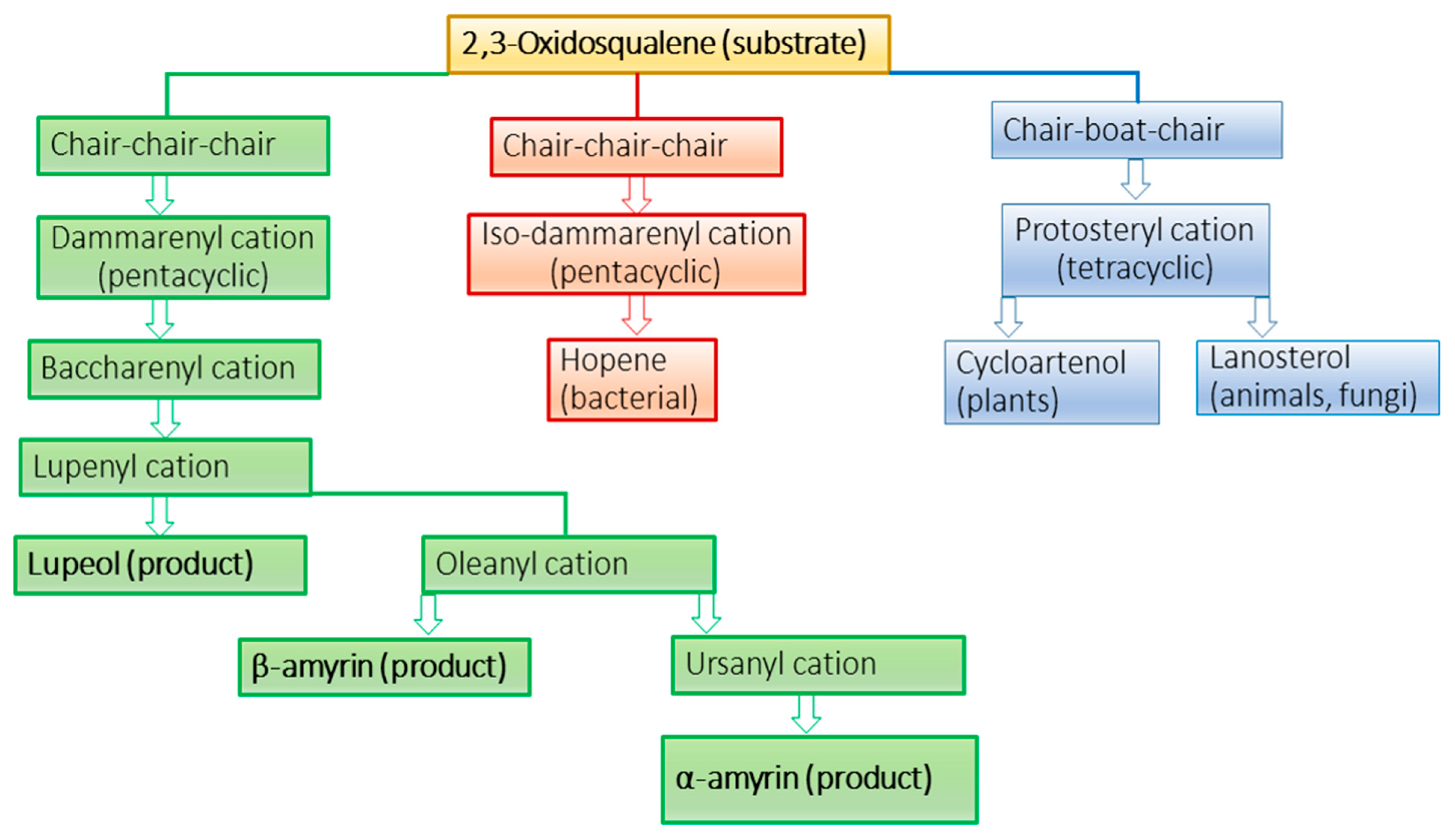 Molecules Free Full Text Tuscan Varieties Of Sweet