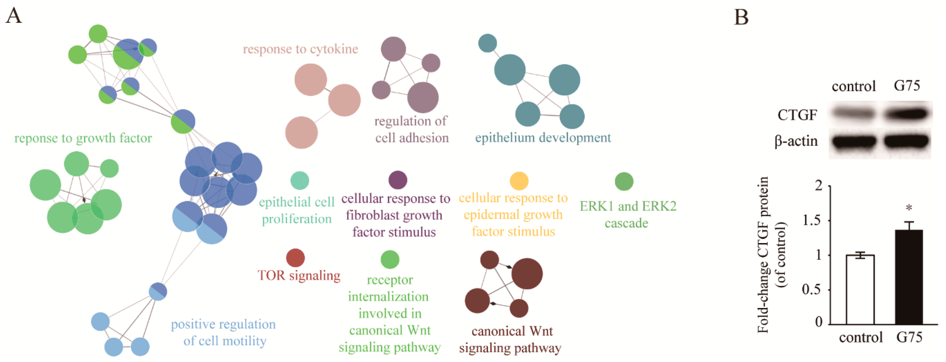 Molecules 24 01595 g004
