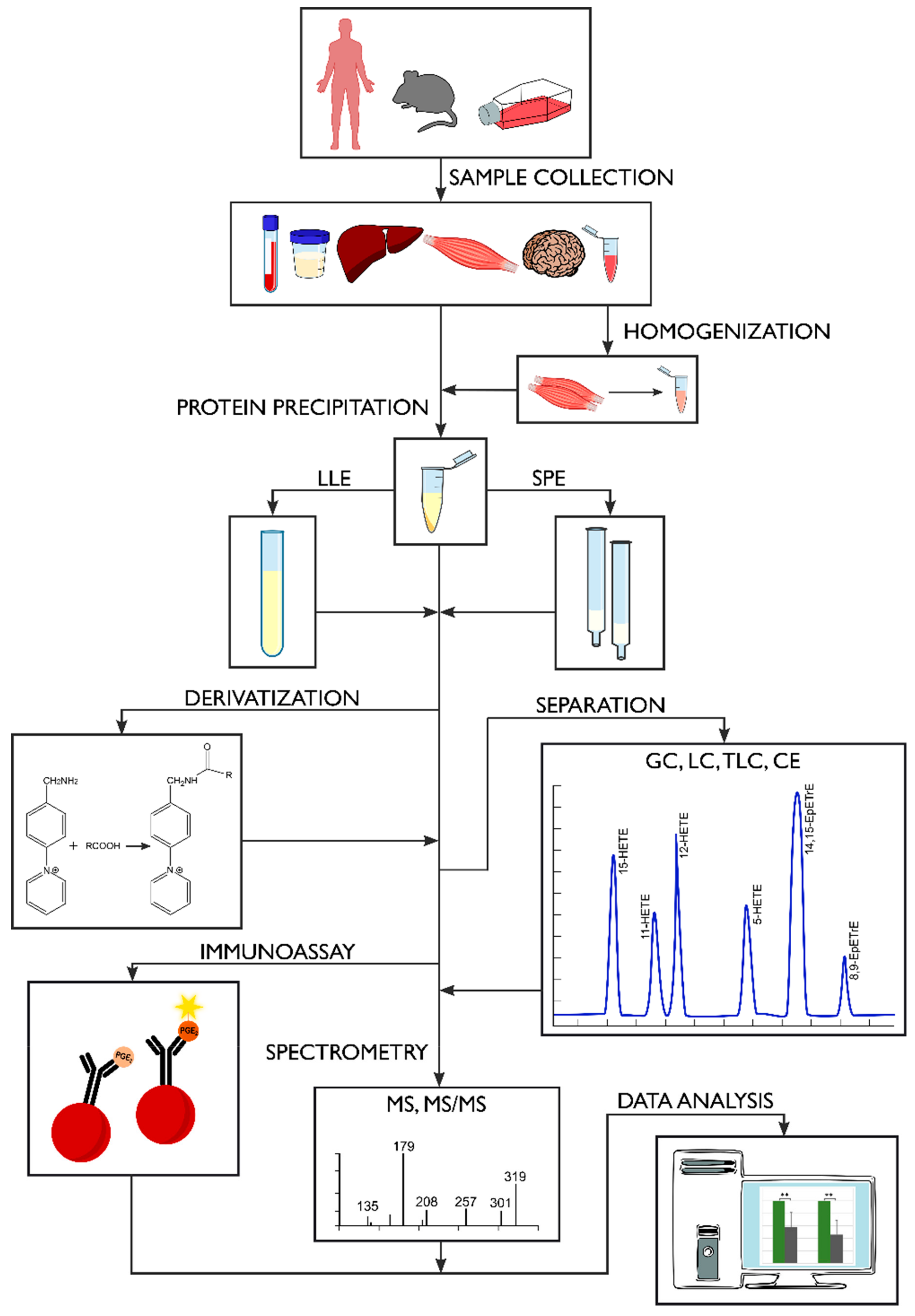 Molecules | Free Full-Text | Modern Methods of Sample Preparation for the  Analysis of Oxylipins in Biological Samples