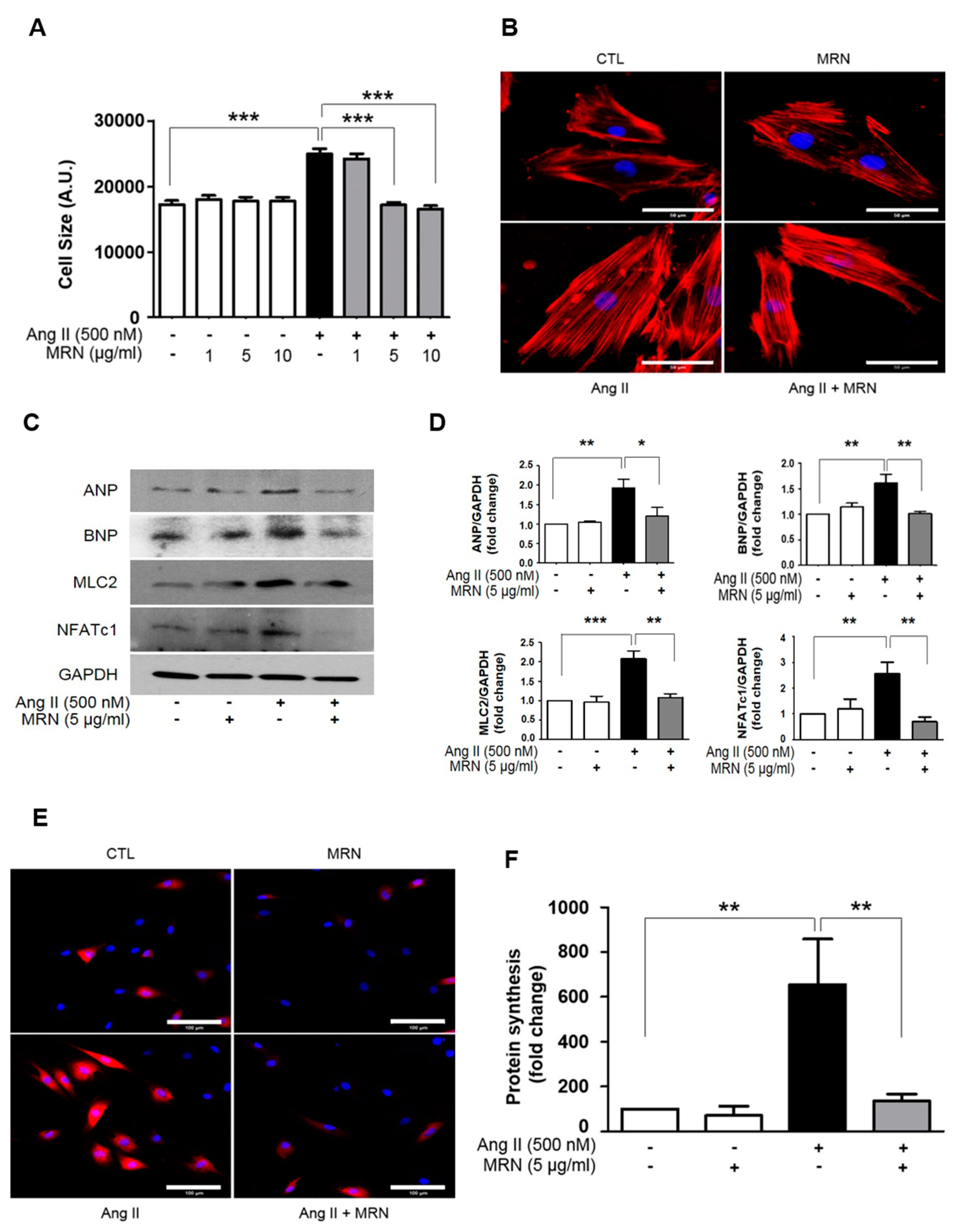 Molecules 24 01647 g002 Molecules 24 01647 g002