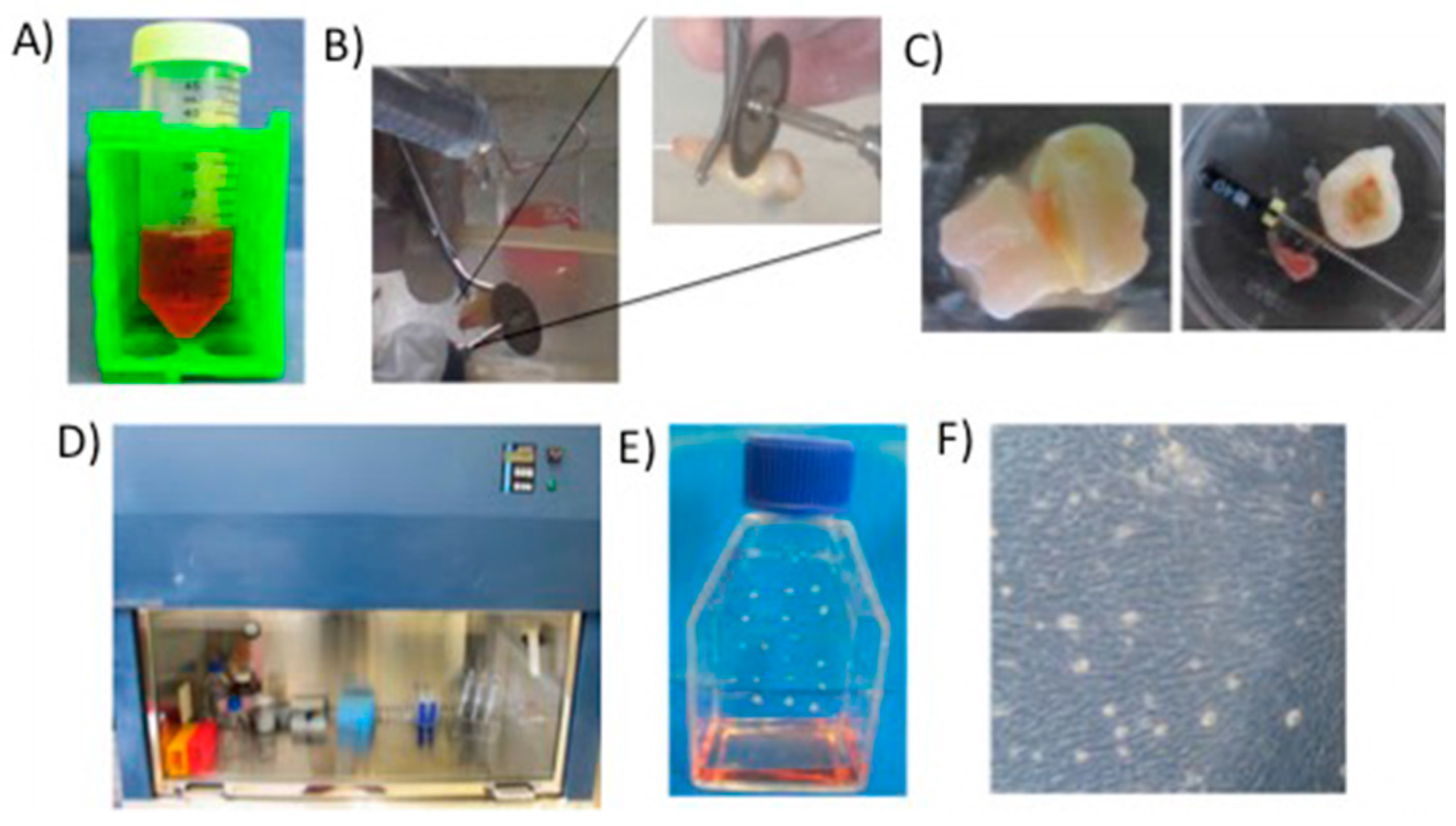 Molecules 24 01660 g001