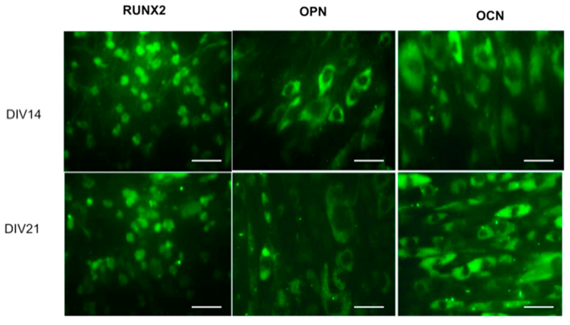 Molecules 24 01660 g008
