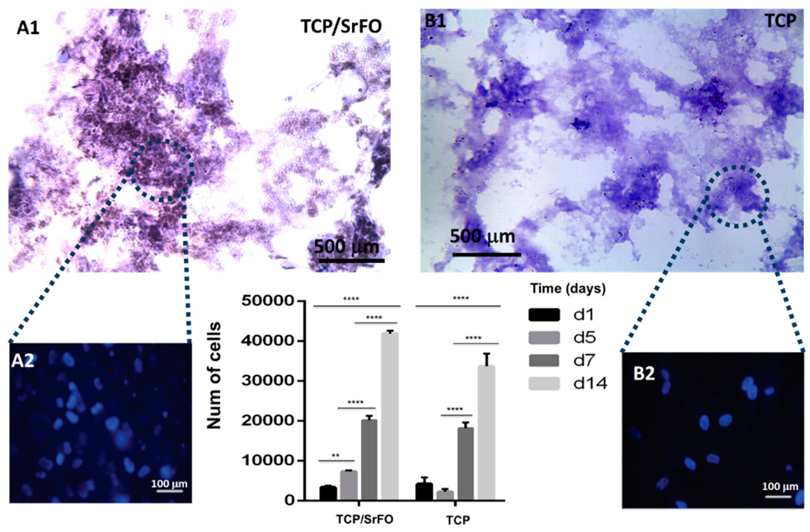 Molecules 24 01660 g009