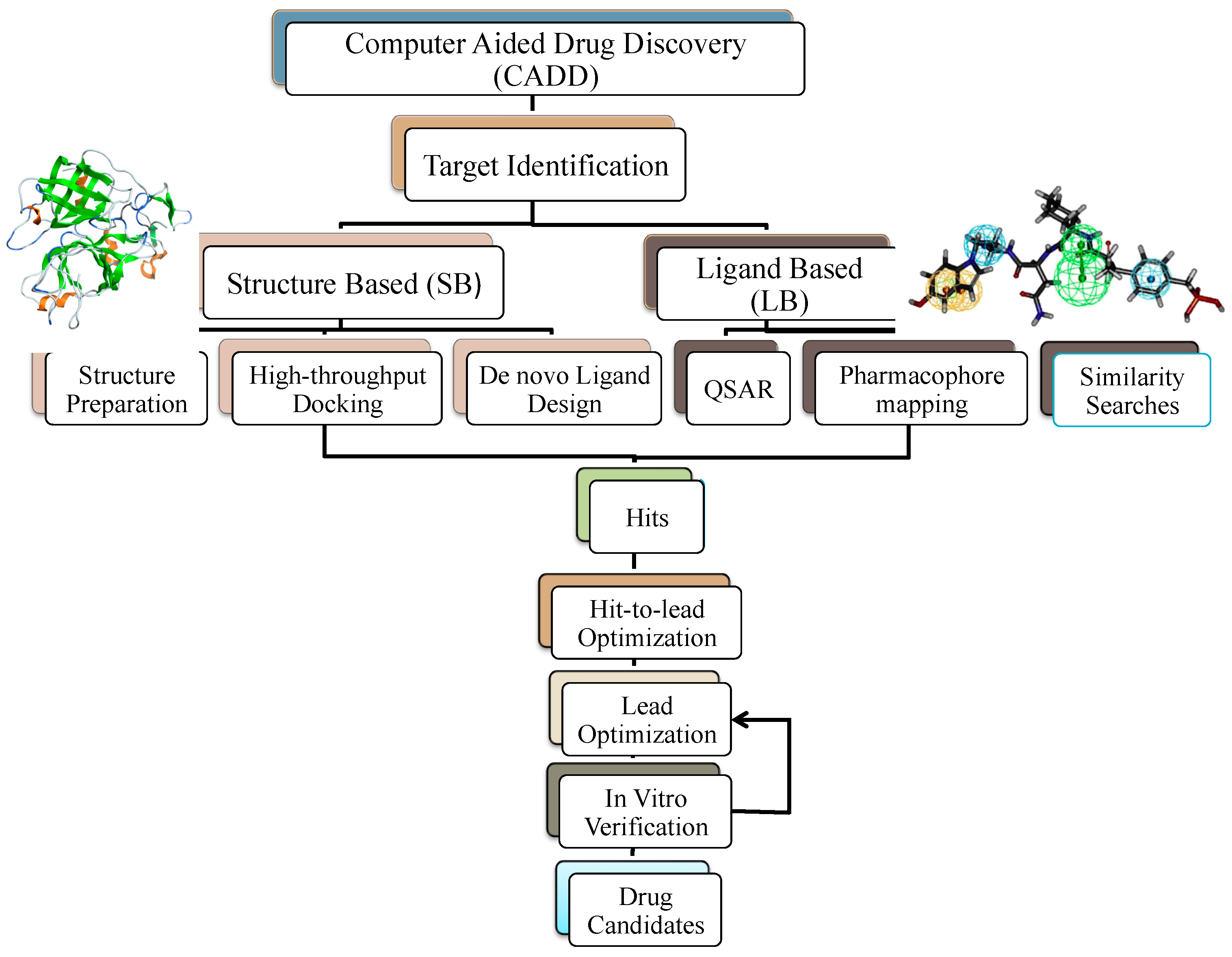 Molecules 24 01693 g008