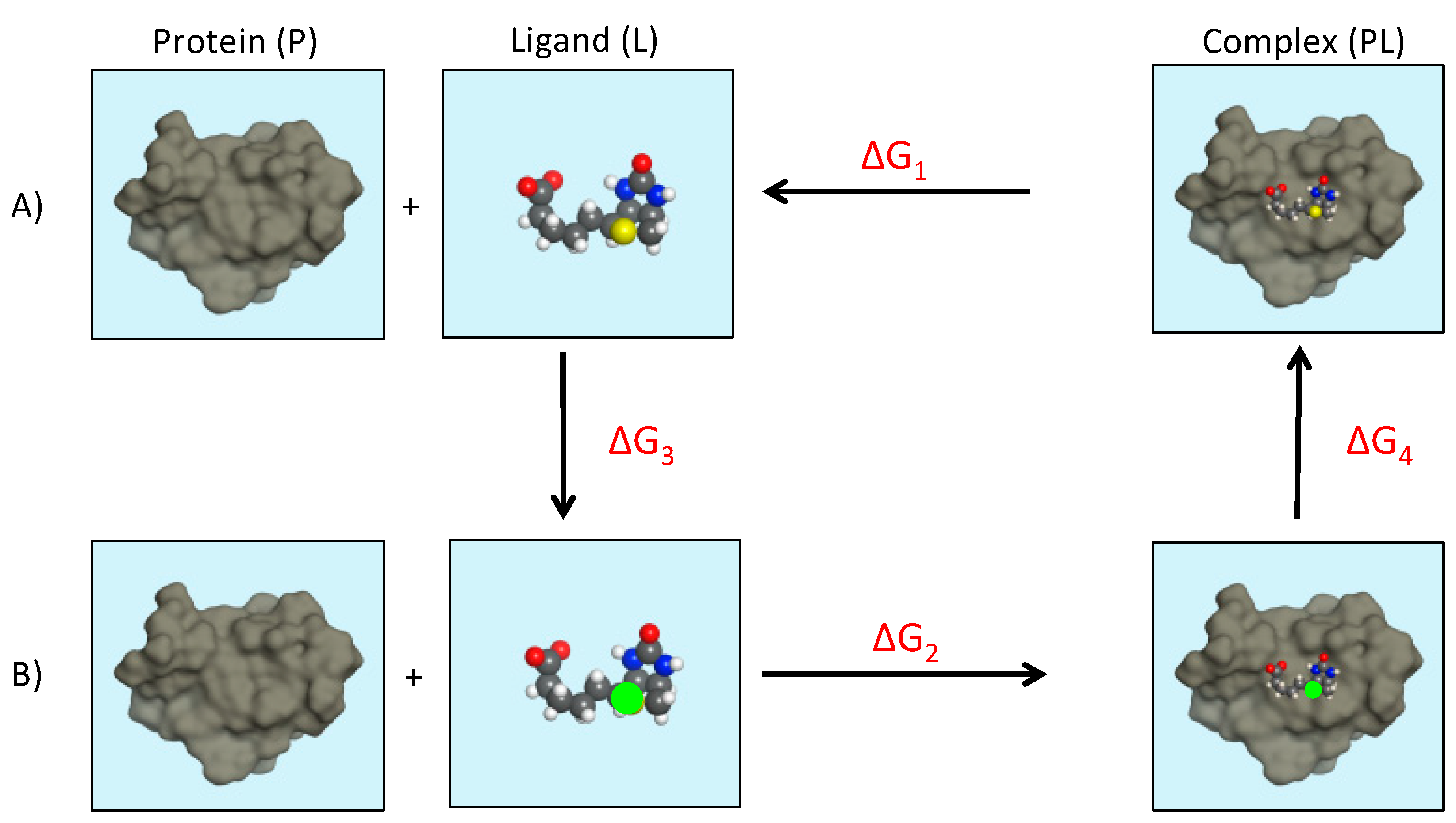Molecules 24 01693 g009