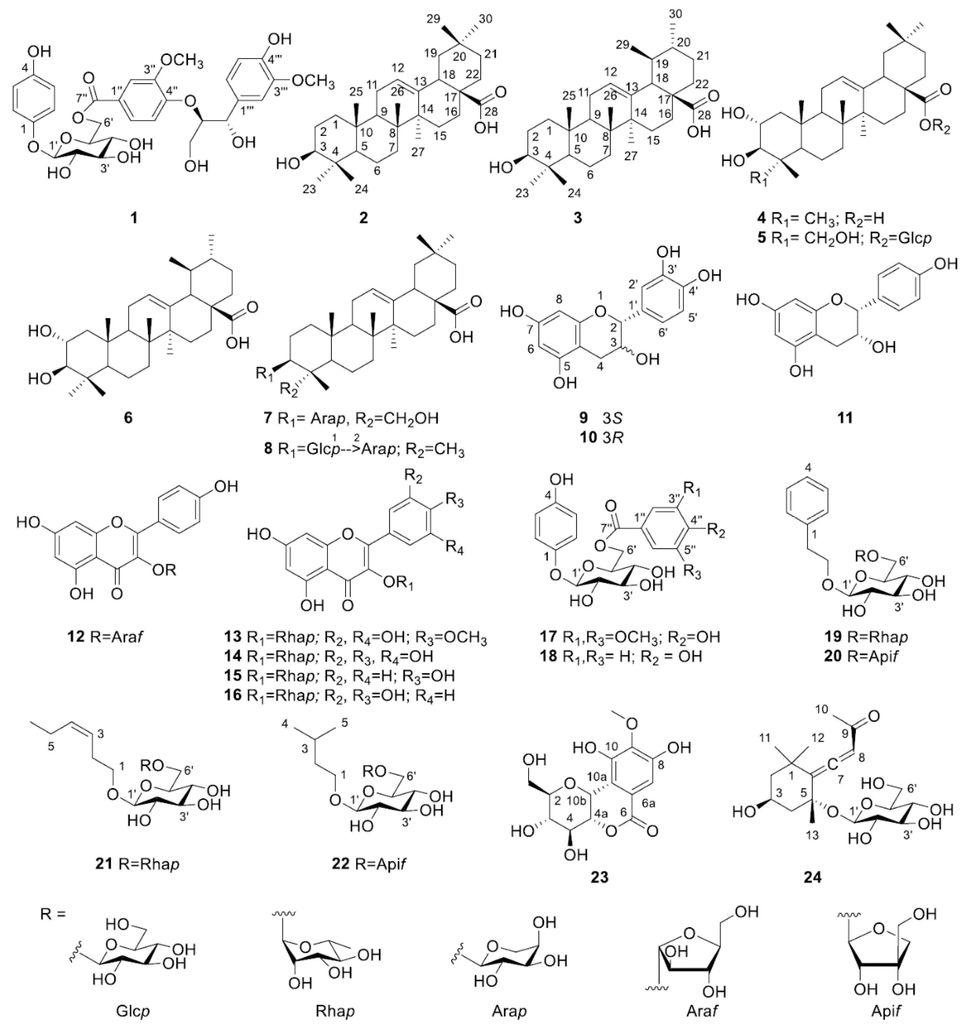 Molecules 24 01733 g001
