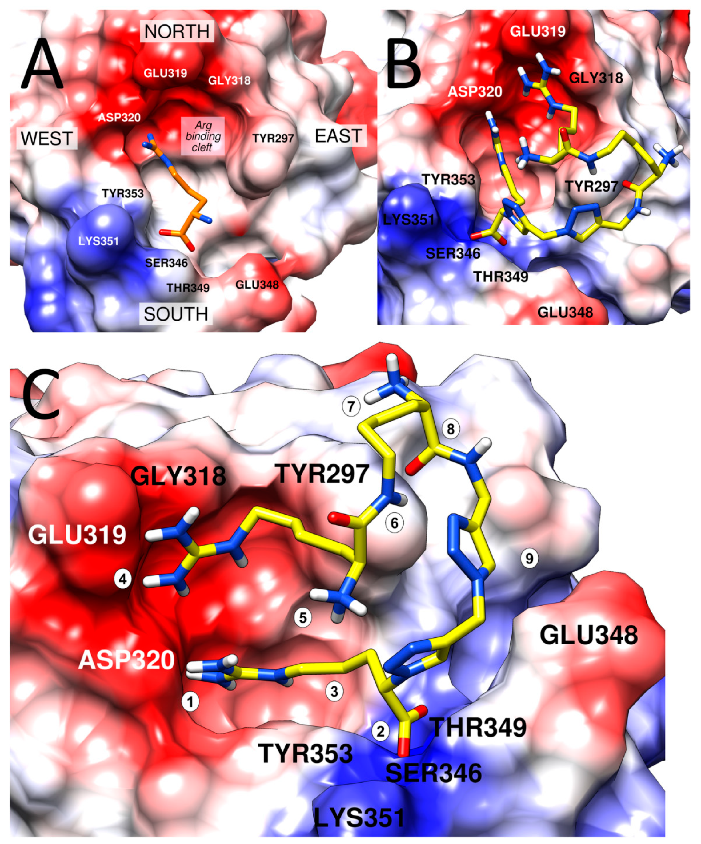 Molecules 24 01756 g007