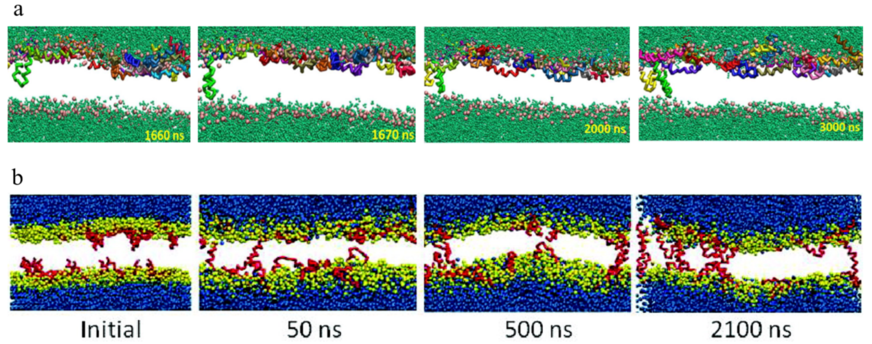 Molecules 24 01775 g002 Molecules 24 01775 g002