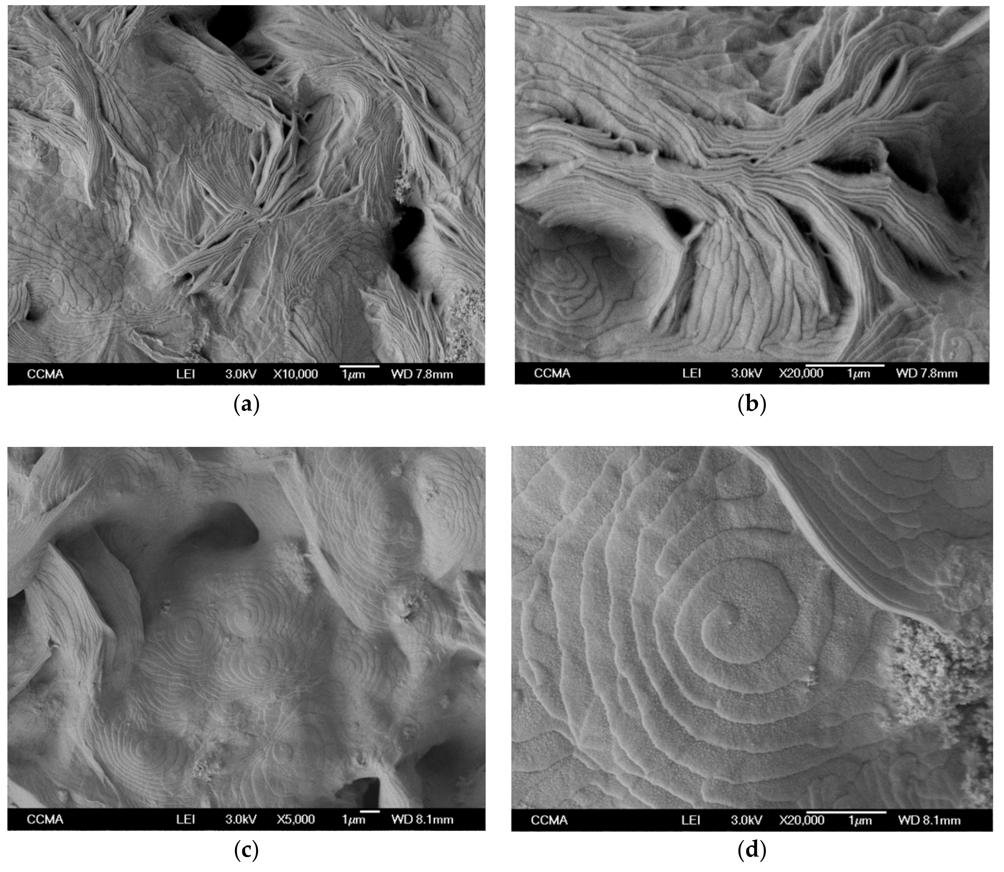 Molecules 24 01797 g006
