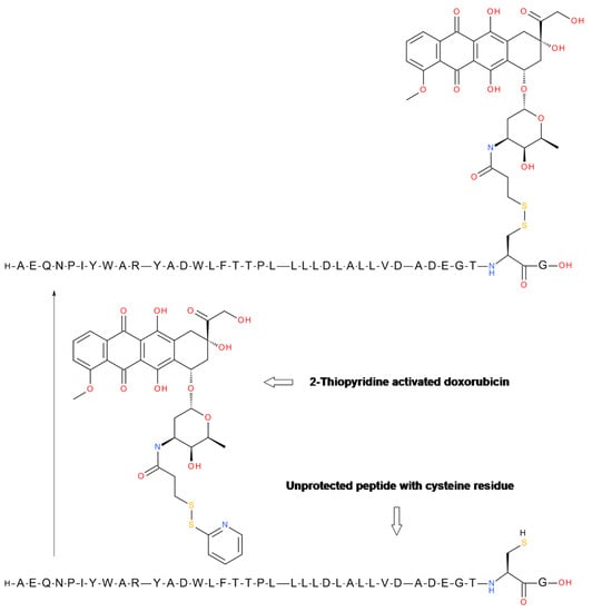 Molecules Free Full Text Peptide Conjugates With Small Molecules Designed To Enhance Efficacy And Safety Html