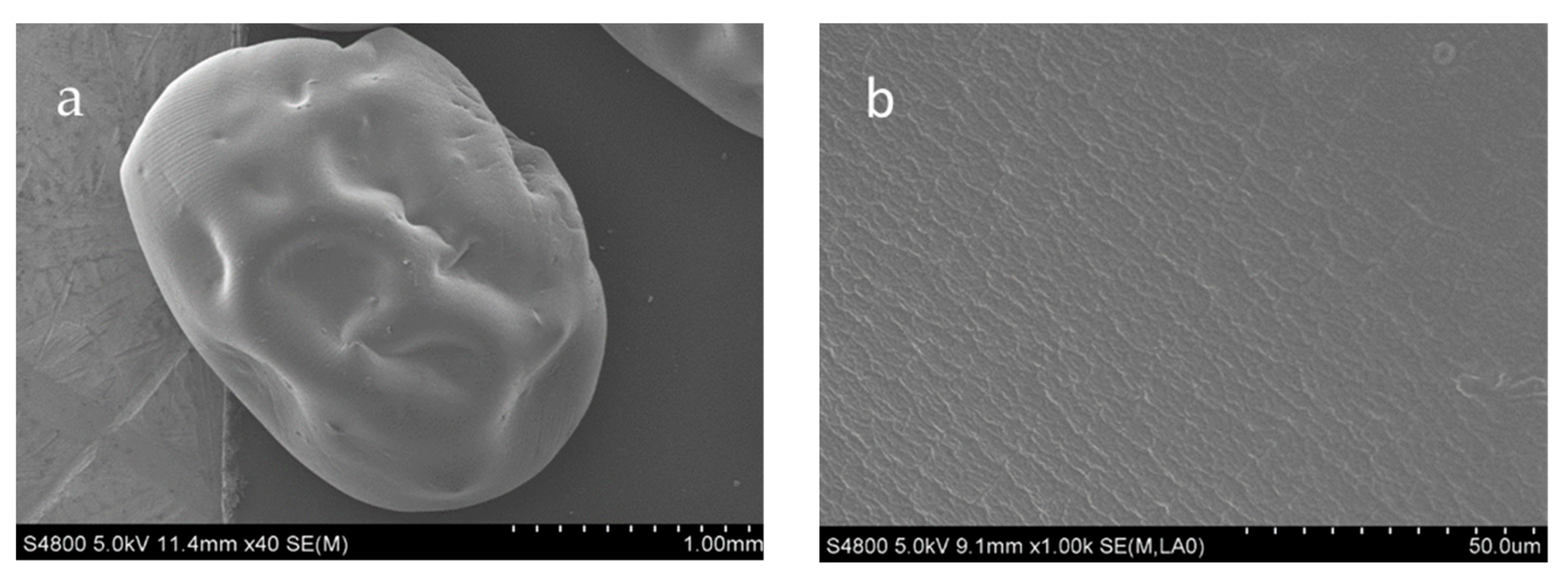 Molecules 24 01858 g002a Molecules 24 01858 g002a