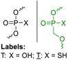 Molecules 24 01872 i001 Molecules 24 01872 i001