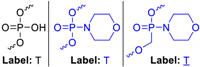 Molecules 24 01872 i002 Molecules 24 01872 i002