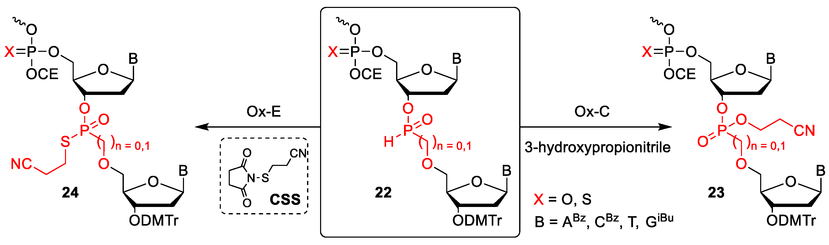 Molecules 24 01872 sch004 Molecules 24 01872 sch004