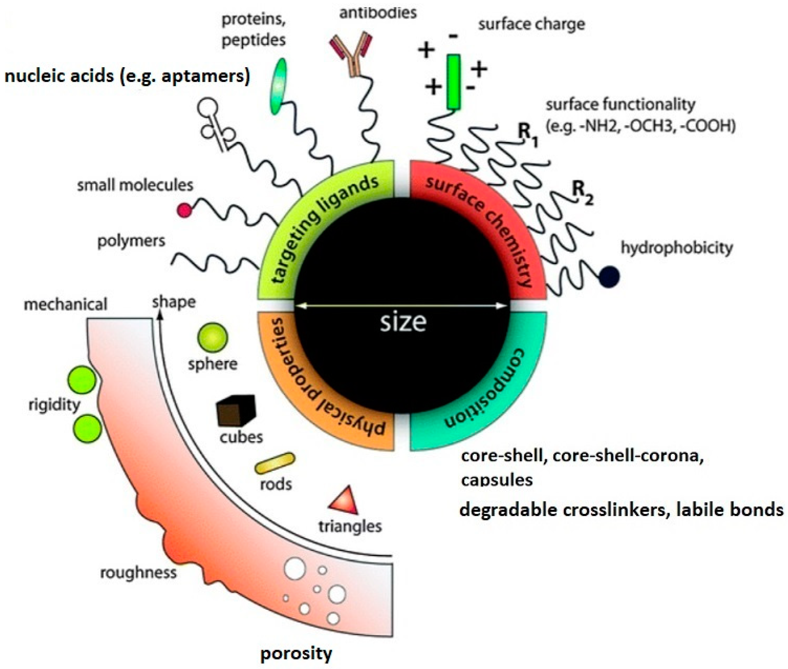 Molecules Free Full Text Recent Advances In Degradable Hybrids Of Biomolecules And Ngs For Targeted Delivery Html