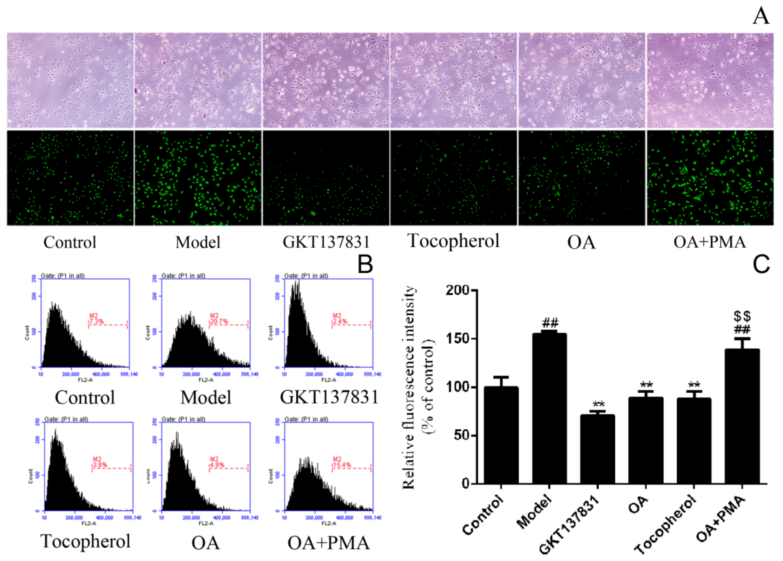 Molecules 24 01957 g003