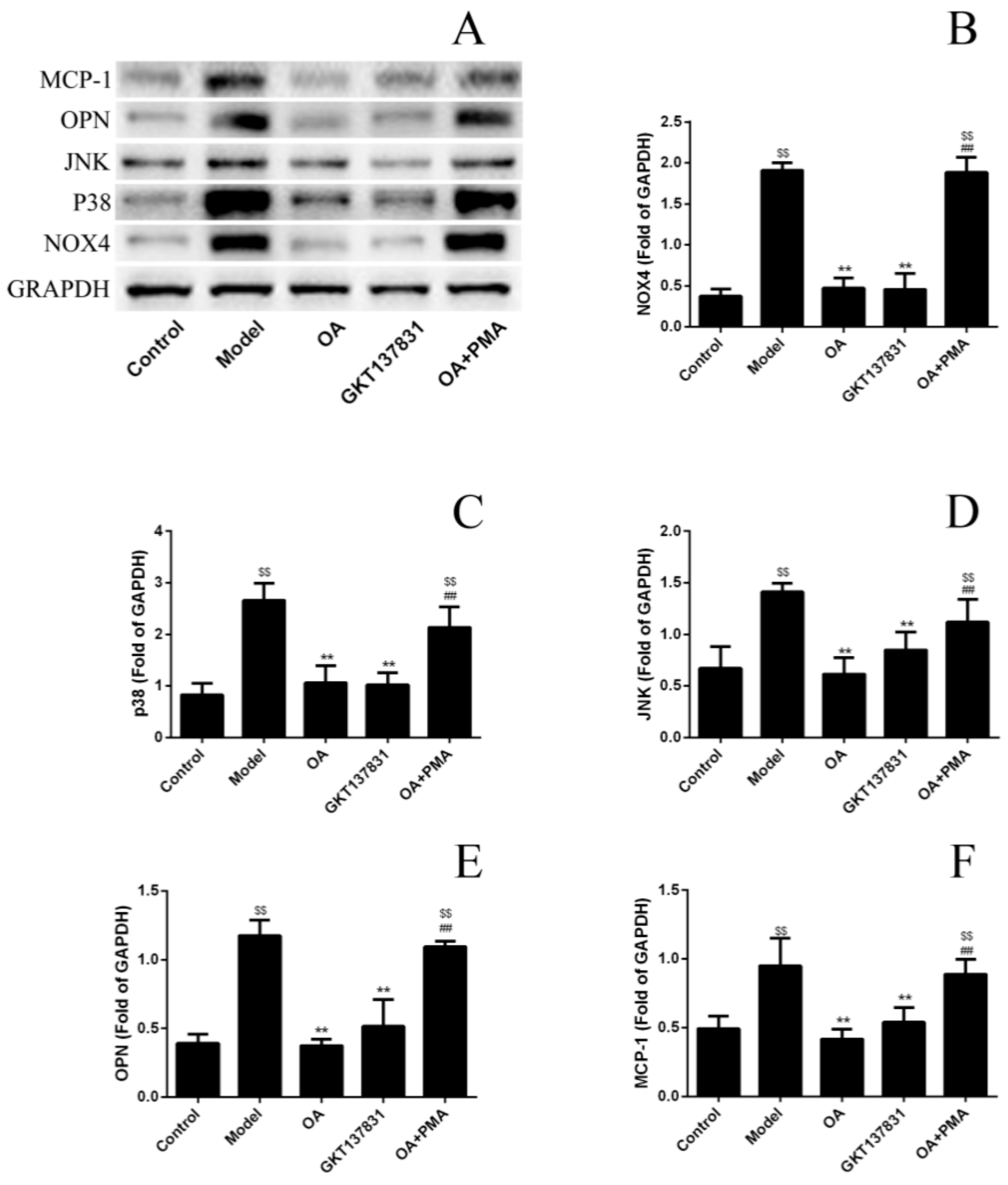 Molecules 24 01957 g005