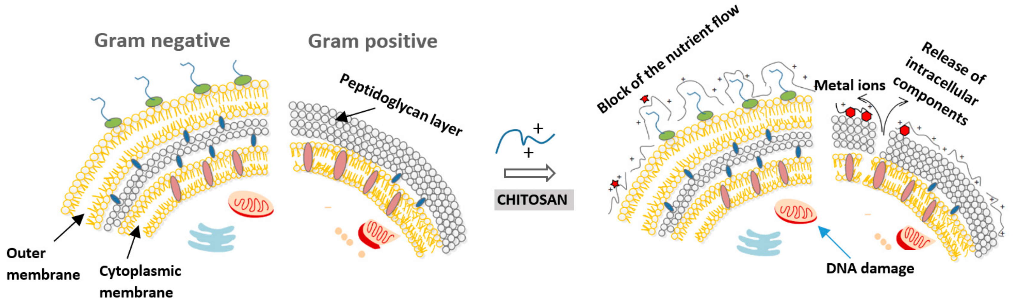Molecules 24 01960 g002 Molecules 24 01960 g002