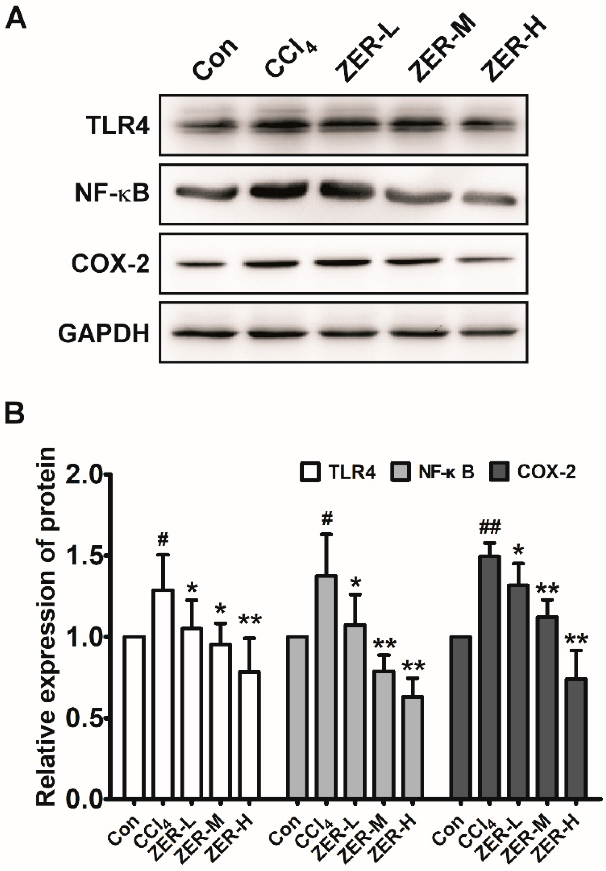 Molecules 24 01964 g005