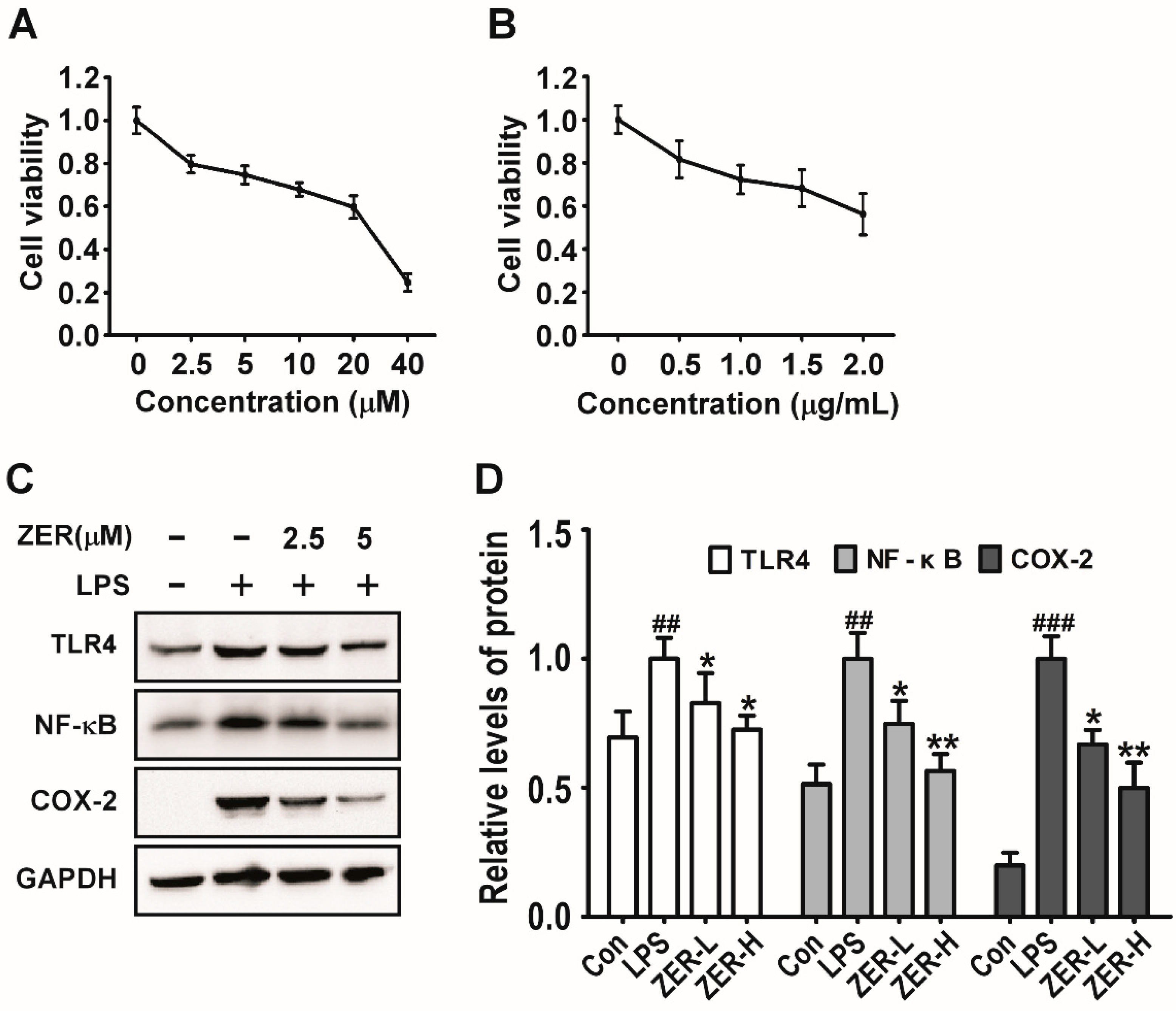 Molecules 24 01964 g006