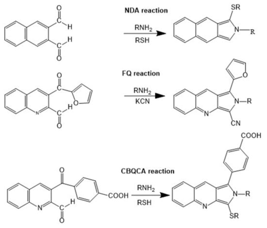 Molecules Free Full Text Application Of Capillary Electrophoresis With Laser Induced Fluorescence To Immunoassays And Enzyme Assays Html