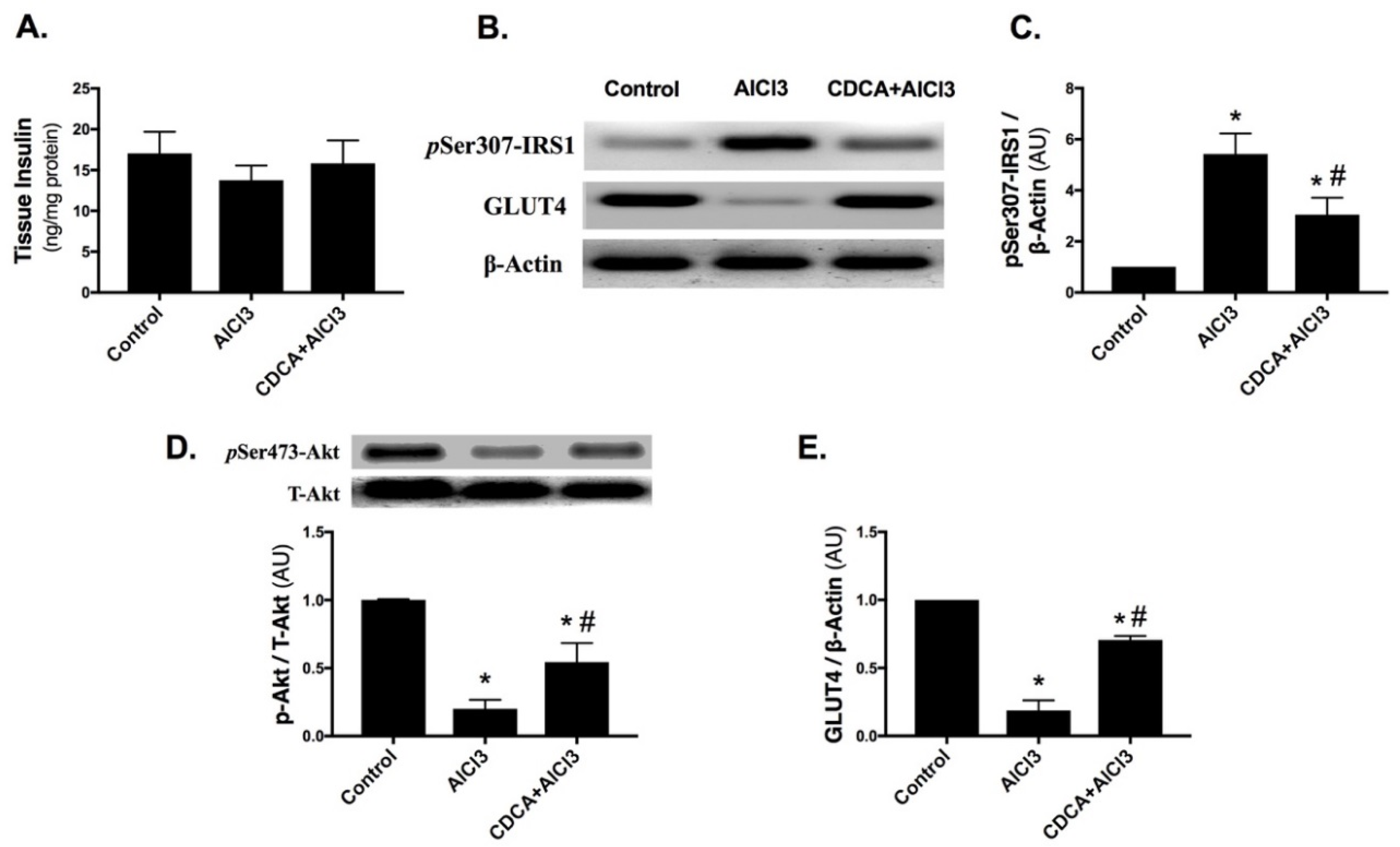 Molecules 24 01992 g003 Molecules 24 01992 g003