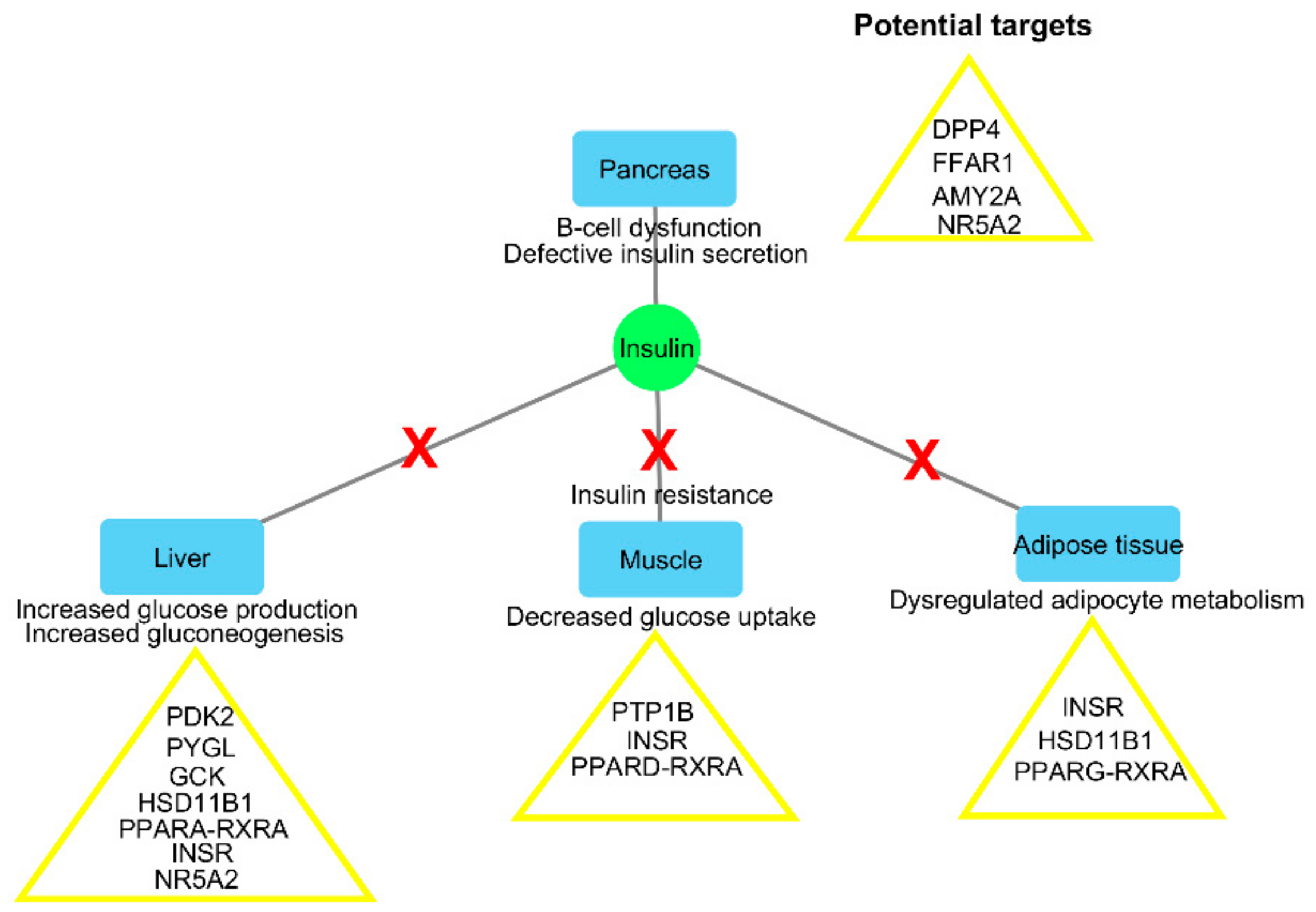Molecules 24 02002 g002